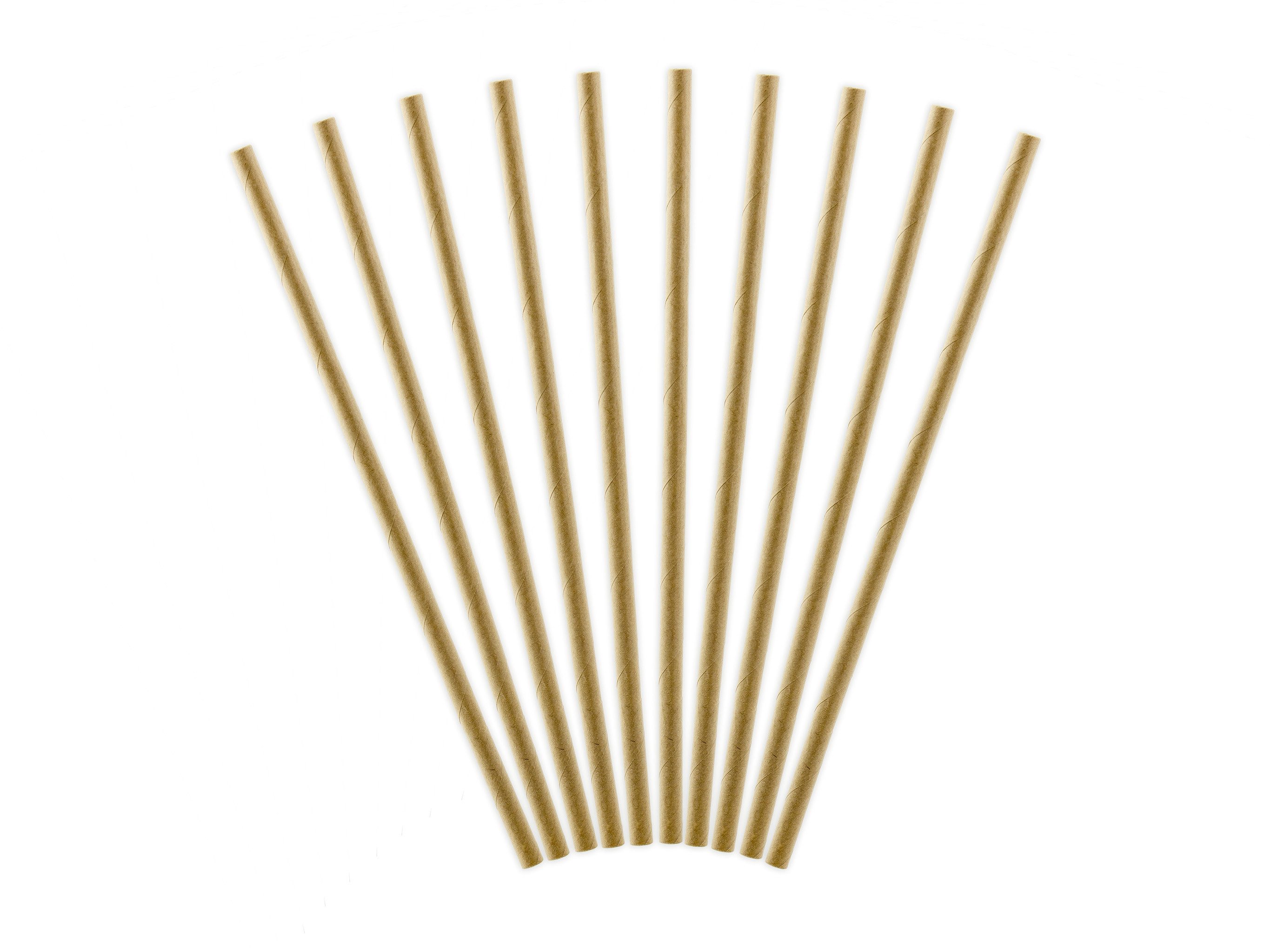 partydeco Papierdekoration, Papierstrohhalme 19,5cm biologisch abbaubar 10er Set Naturbraun