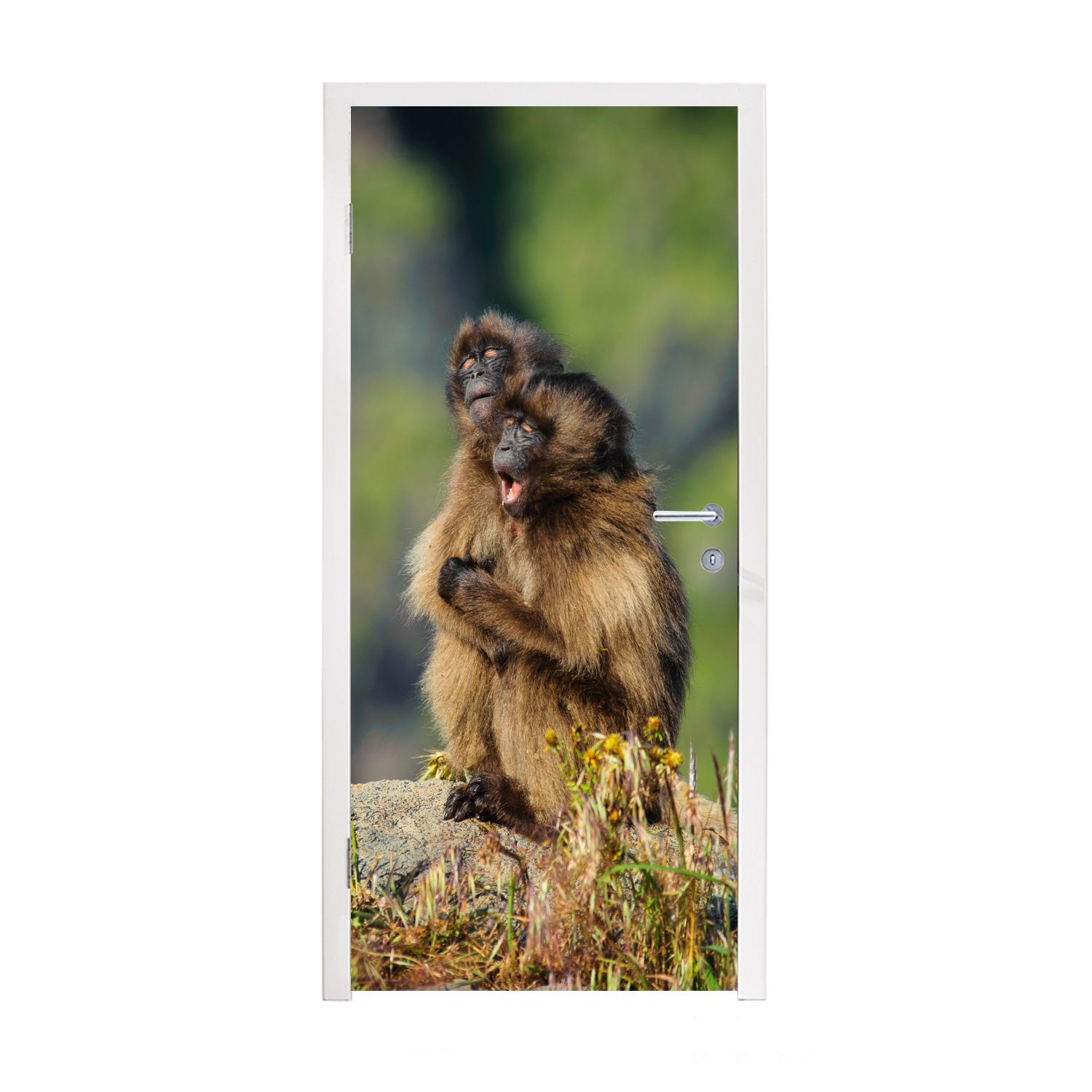 MuchoWow Türtapete Affen - Pflanzen - Steine - Familie, Matt, bedruckt, (1 St), Fototapete für Tür, Türaufkleber, 75x205 cm