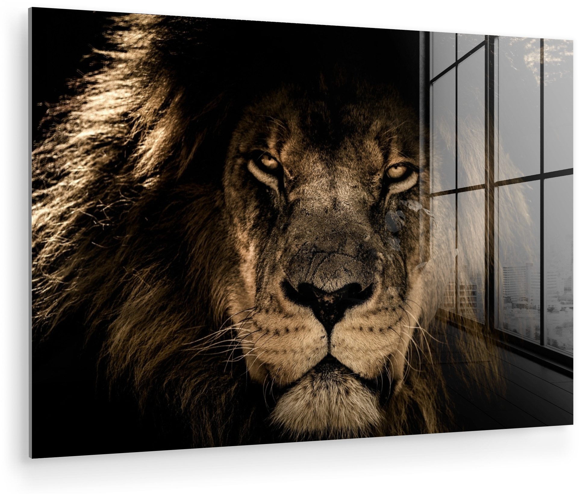 MuchoWow Acrylglasbild Löwe - Tiere - Schwarz - Porträt, Inkl. Aufhängung, Glasbilder Wohnzimmer, Schlafzimmer, Flur & Esszimmer, 30x20 cm