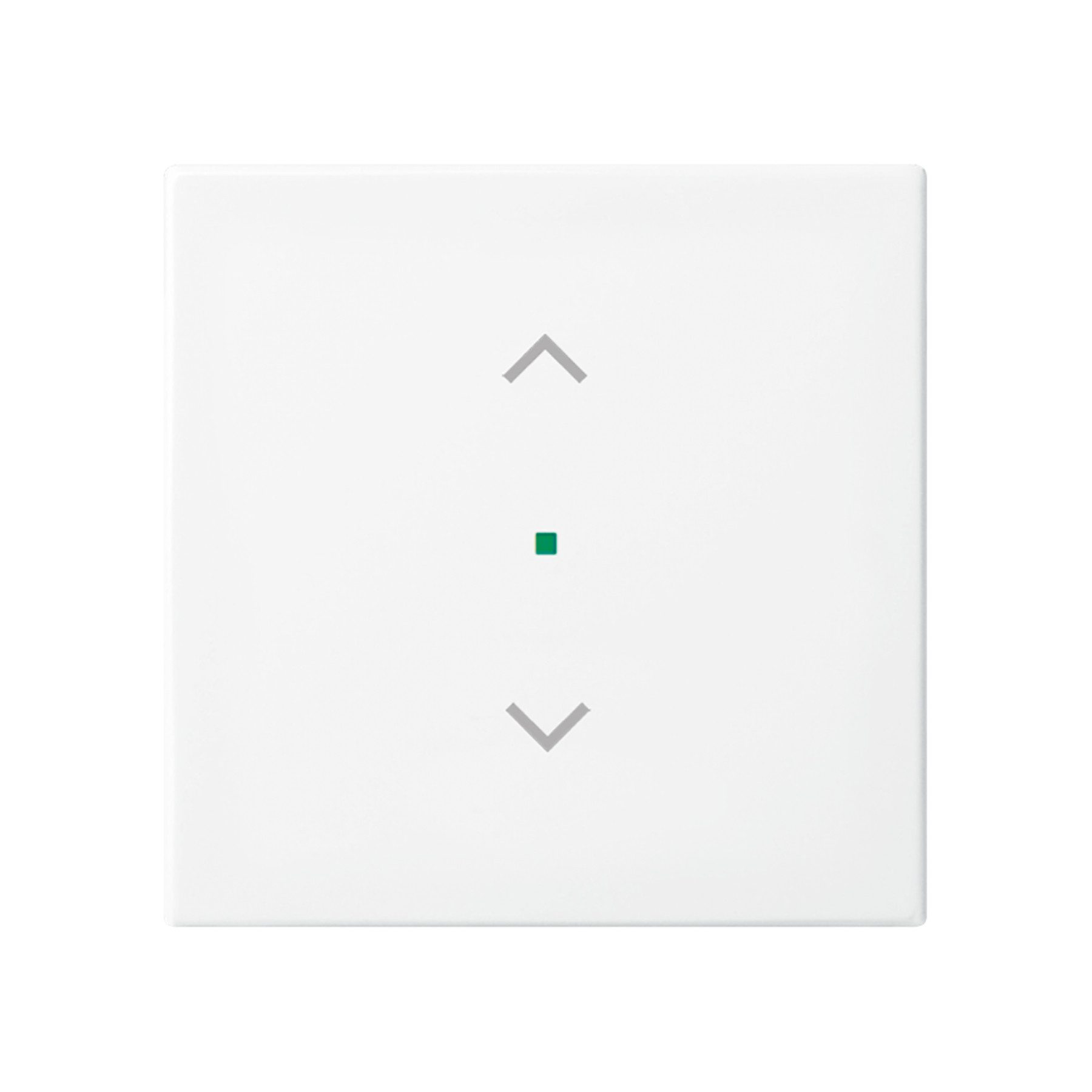 Schalter BUSCH-JAEGER Wippe 6232-10-914, Symbol Jalousie