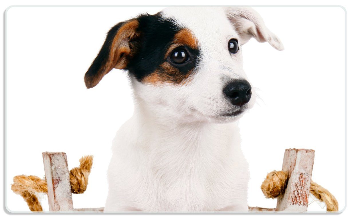 4mm, Jack Russel Hunde-Welpe (inkl. Holzeimer, 1-St), Terrier Gummifüße 14x23cm rutschfester ESG-Sicherheitsglas, einem Frühstücksbrett in Wallario