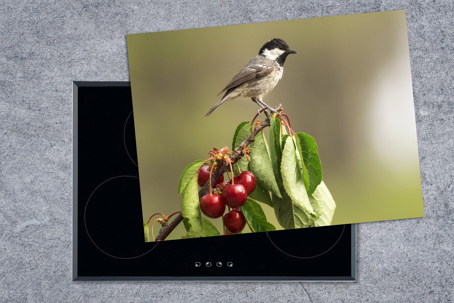 nutzbar, MuchoWow Mobile sitzt, einer Ceranfeldabdeckung auf cm, Vinyl, Herdblende-/Abdeckplatte einem Ein (1 70x52 Arbeitsfläche Beeren Kohlmeise, Zweig mit von die tlg), Foto