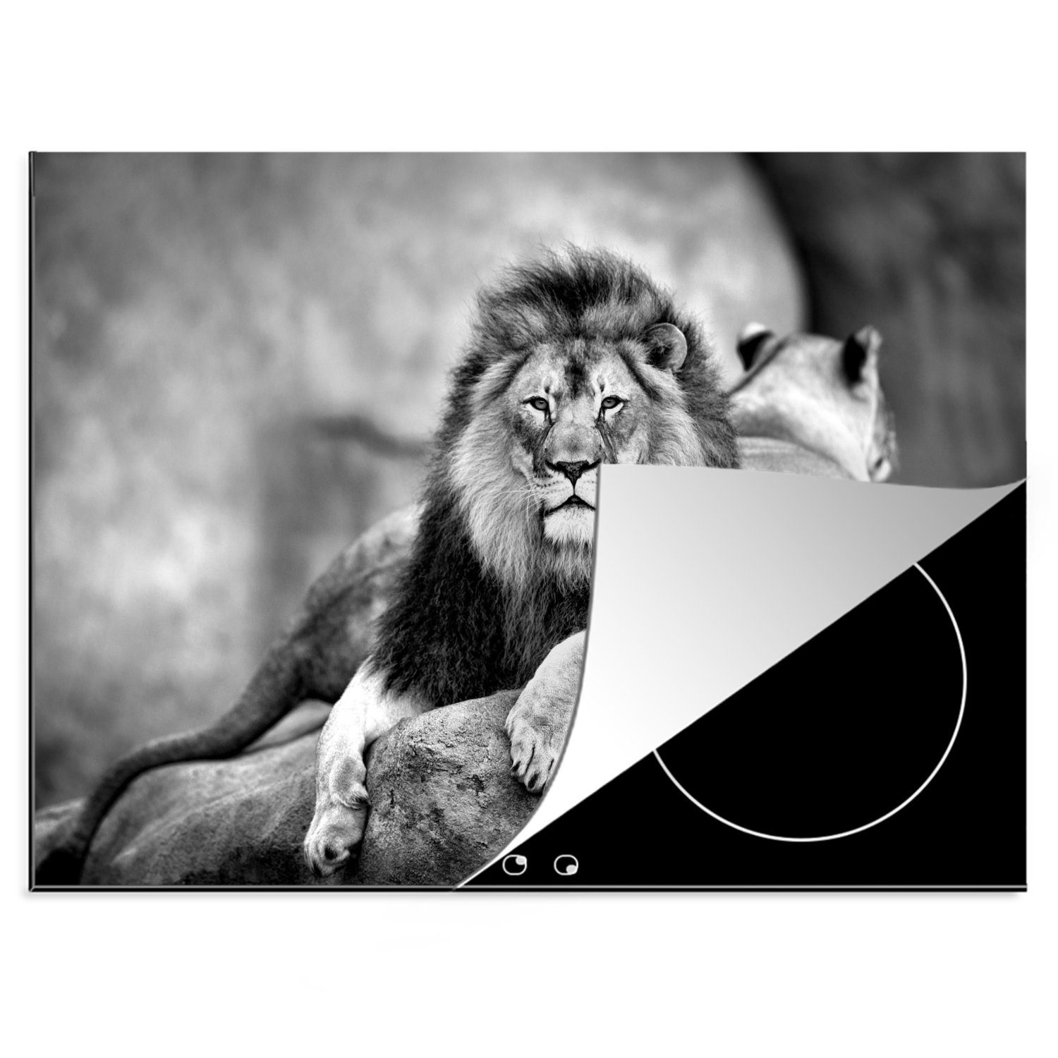 MuchoWow Herdblende-/Abdeckplatte Löwe und Löwin auf einem Felsen liegend - schwarz und weiß, Vinyl, (1 tlg), 70x52 cm, Mobile Arbeitsfläche nutzbar, Ceranfeldabdeckung