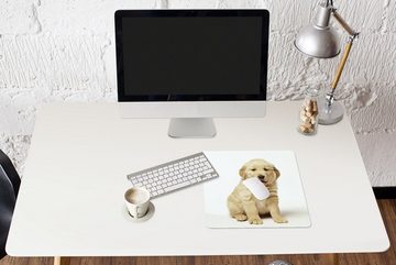 MuchoWow Gaming Mauspad Porträt eines flauschigen Golden Retriever Welpen (1-St), Mousepad mit Rutschfester Unterseite, Gaming, 40x40 cm, XXL, Großes