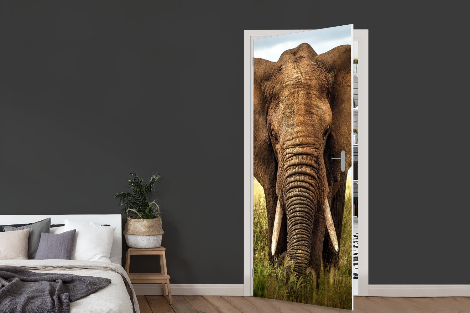 MuchoWow Matt, - bedruckt, St), Tiere 75x205 Fototapete für Tür, Natur, - Türtapete Elefant Gras - (1 cm Türaufkleber,