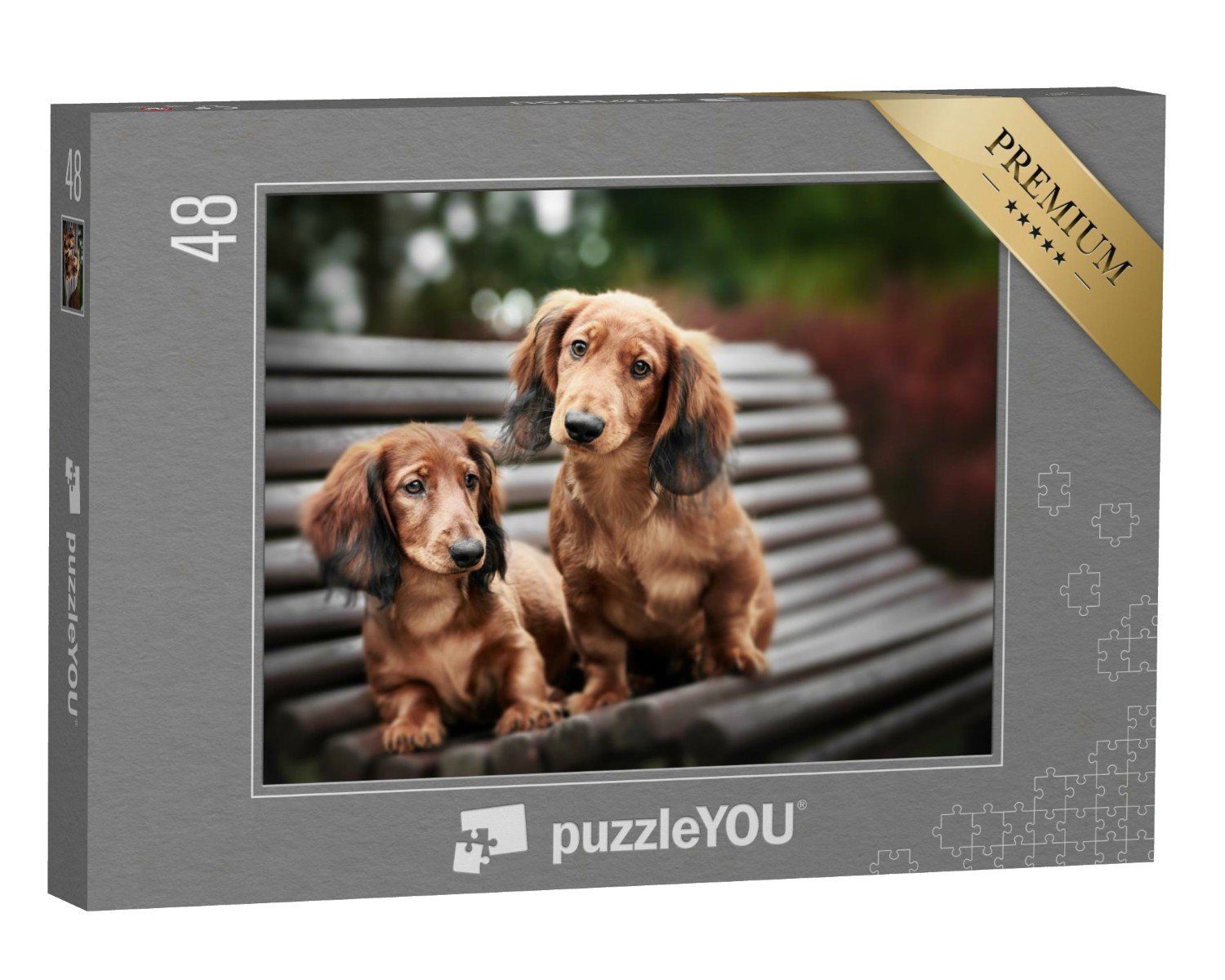 puzzleYOU Puzzle Zwei entzückende Dackelwelpen auf einer Bank, 48 Puzzleteile, puzzleYOU-Kollektionen Hunde, Dackel