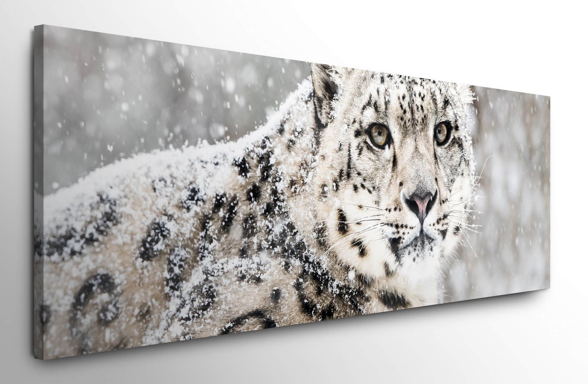 Wandbild auf Leinwand Verschneiter möbel-direkt.de Leinwandbild XXL Bilder Leopard