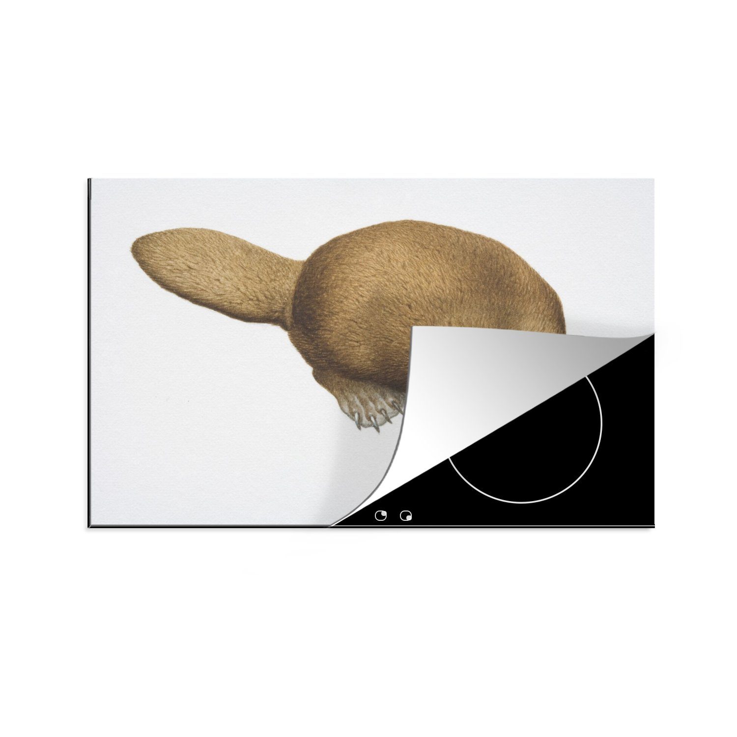 MuchoWow Herdblende-/Abdeckplatte Illustration eines Schnabeltiers, Vinyl, (1 tlg), 81x52 cm, Induktionskochfeld Schutz für die küche, Ceranfeldabdeckung