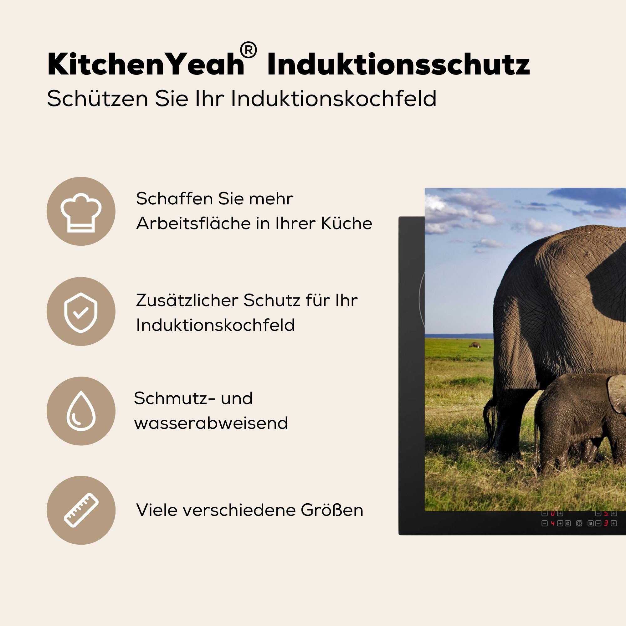 MuchoWow Herdblende-/Abdeckplatte Elefant - Tiere Ceranfeldabdeckung Grau, cm, die Induktionskochfeld tlg), (1 für - Grün - küche, Schutz Grasland 81x52 - Vinyl