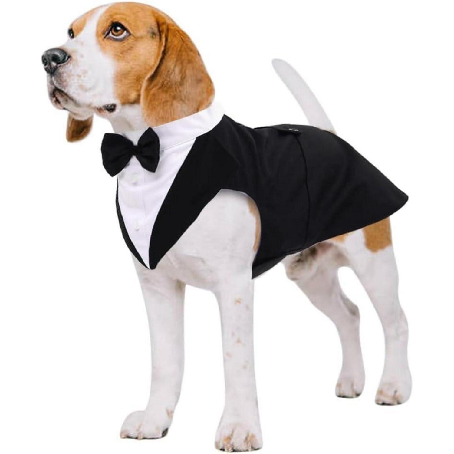 LuxusKollektion Hundekostüm Hunde Smoking Anzug Bandana Set Schwarz S-XXL