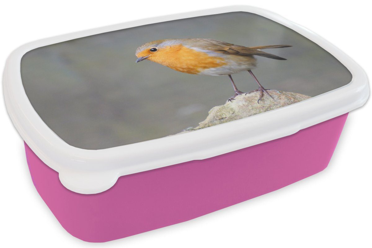 Lunchbox Kunststoff - MuchoWow Erwachsene, Kunststoff, Brotbox Vogel Mädchen, - Rotkehlchen Snackbox, rosa (2-tlg), Brotdose für Kinder, Felsen,