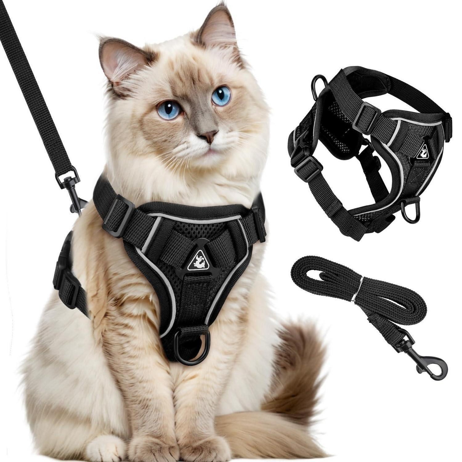 LuxusKollektion Hundeleine Katzengeschirr mit Leine Ausbruchsicher S Schwarz, Textil (1-tlg)