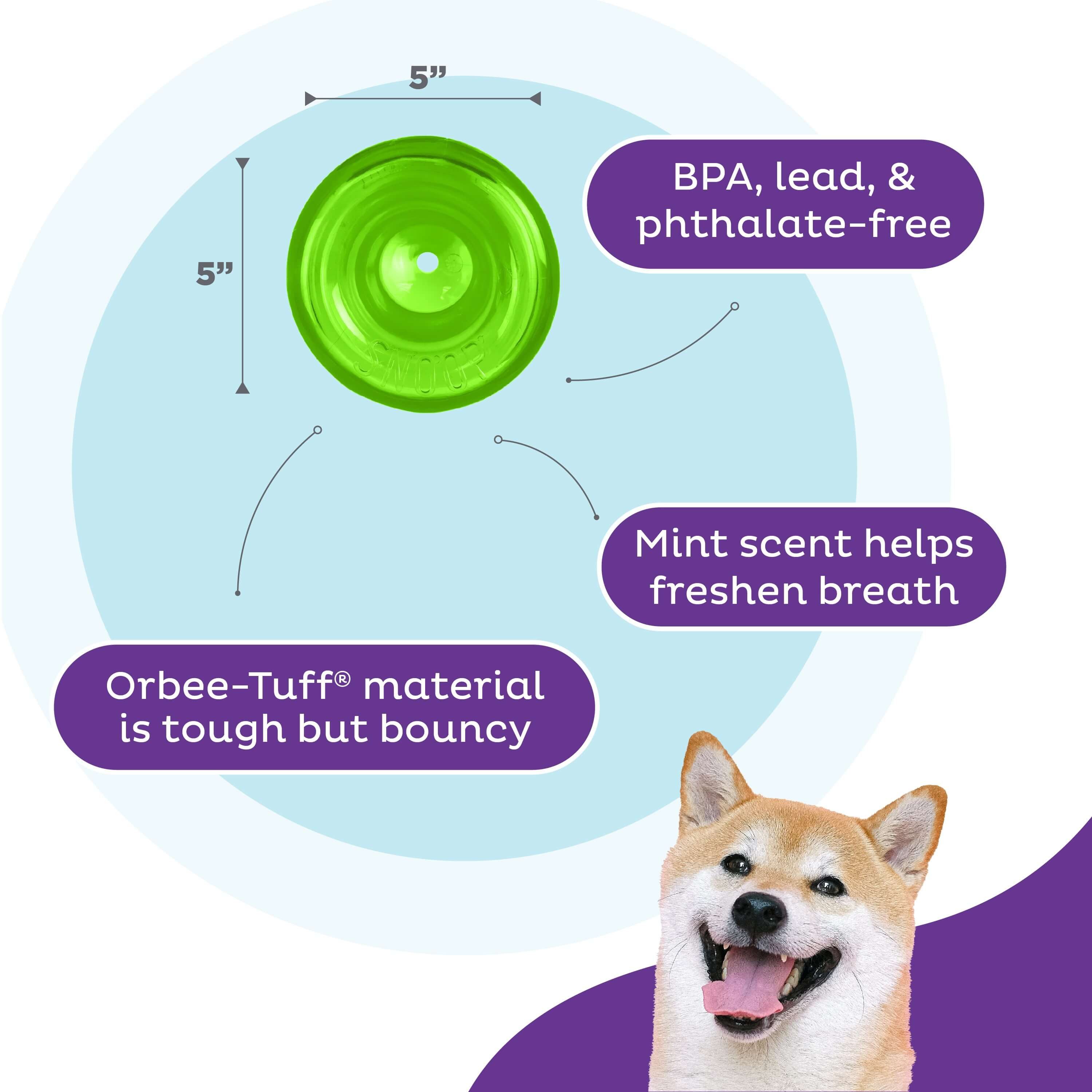 Outward Hound Tier-Intelligenzspielzeug Planet Dog Snoop