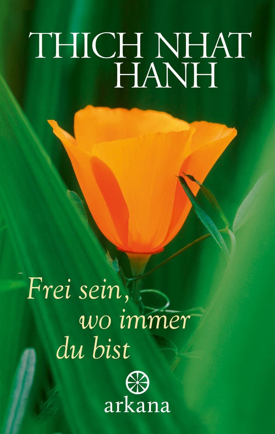 Frei sein, wo immer du bist / Thich Nhat Hanh