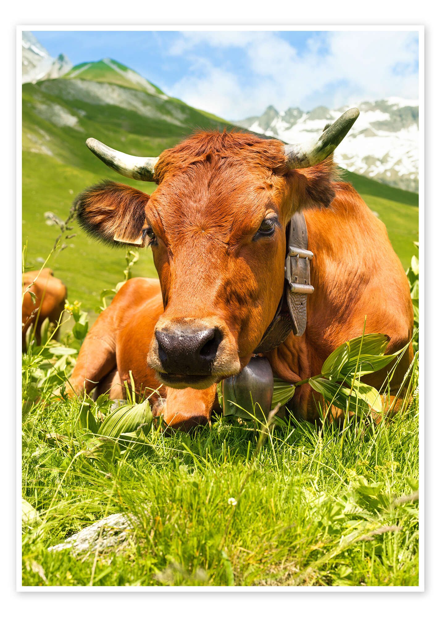 Poster Editors Choice