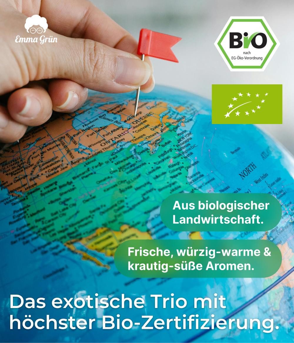 Emma Grün Duftöl um die Welt Maxi-Set mit 3 besonderen Bio Ölen (Maxi-Set, 1x Eukalyptus- 30 ml, 1x Zitronengras- 30 ml, 1x Nelkenöl 30 ml), Höchste Bio-Zertifizierung als Lebensmittel, naturrein & ohne Zusätze