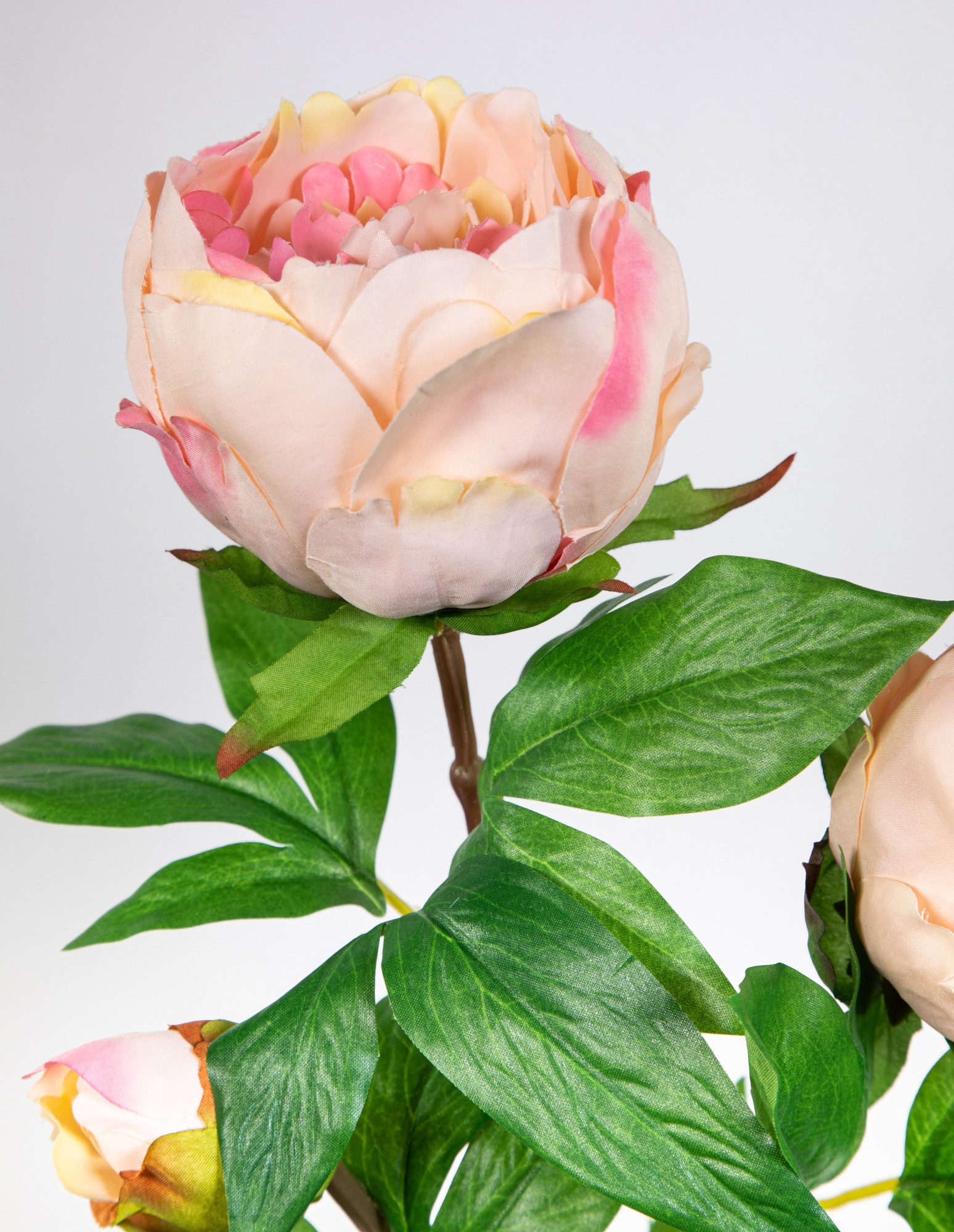 Kunstblume Pfingstrose Nature 68cm GA Seidenblumen künstliche Blumen Päonie, Seidenblumen Roß, Höhe 68 cm, Apricot-Peach