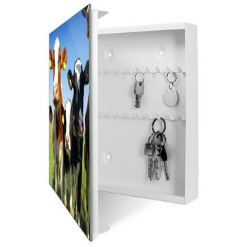 banjado Schlüsselkasten Glas Kühe (Stahl Gehäuse, mit 50 Haken), 30 x 30 x 5 cm