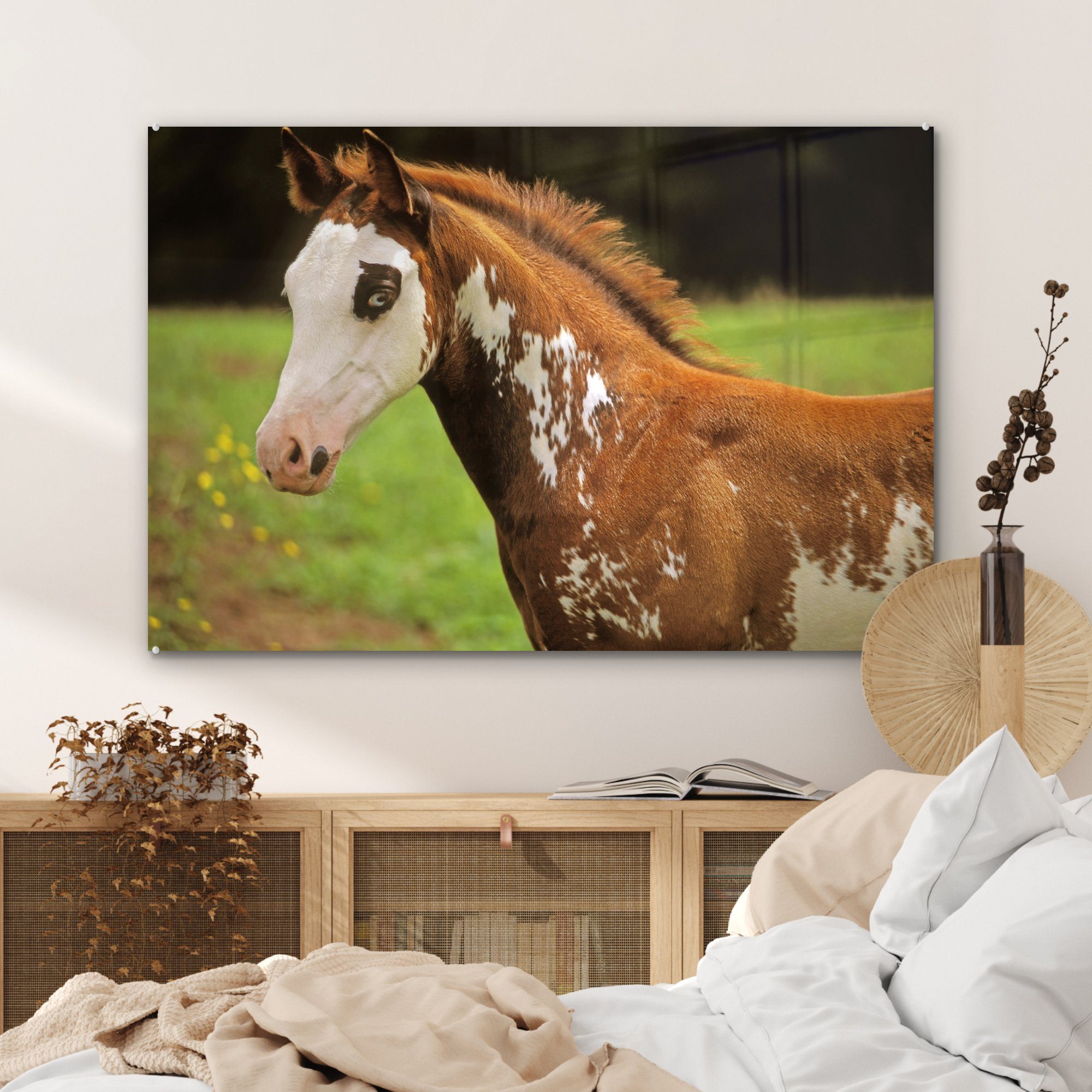 Pferd (1 - St), - Acrylglasbild Wohnzimmer Schlafzimmer Weiß MuchoWow Braun, & Acrylglasbilder