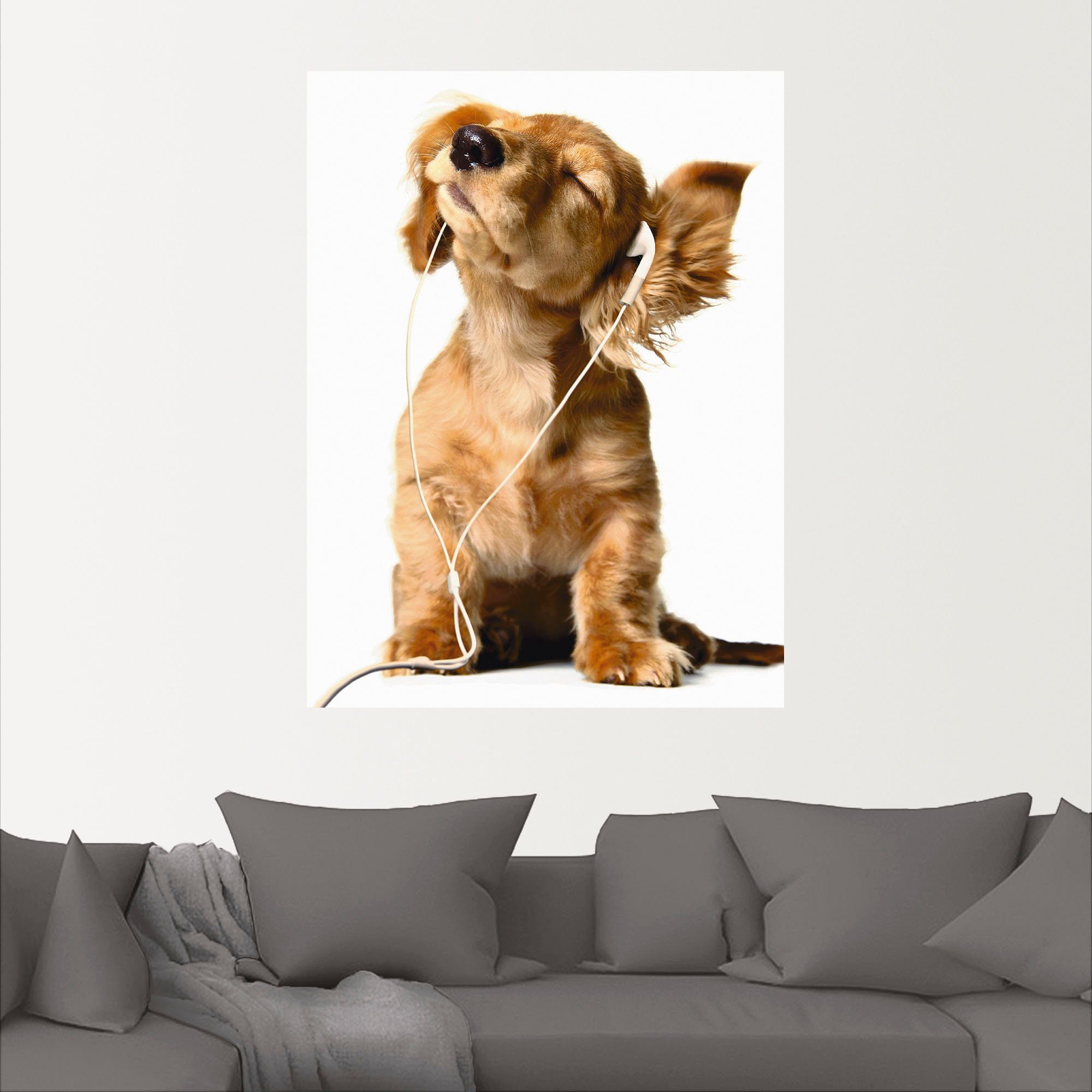 Artland Wandbild Junger Hund hört Musik günstig online kaufen