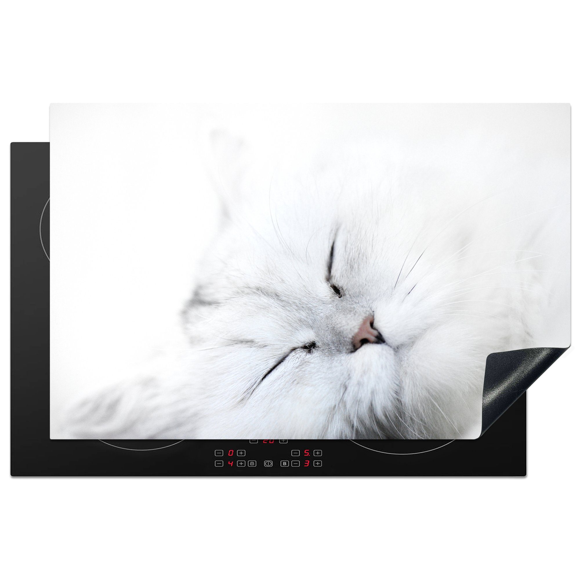 MuchoWow Herdblende-/Abdeckplatte Katze - Weiß - Großaufnahme, Vinyl, (1 tlg), 81x52 cm, Induktionskochfeld Schutz für die küche, Ceranfeldabdeckung