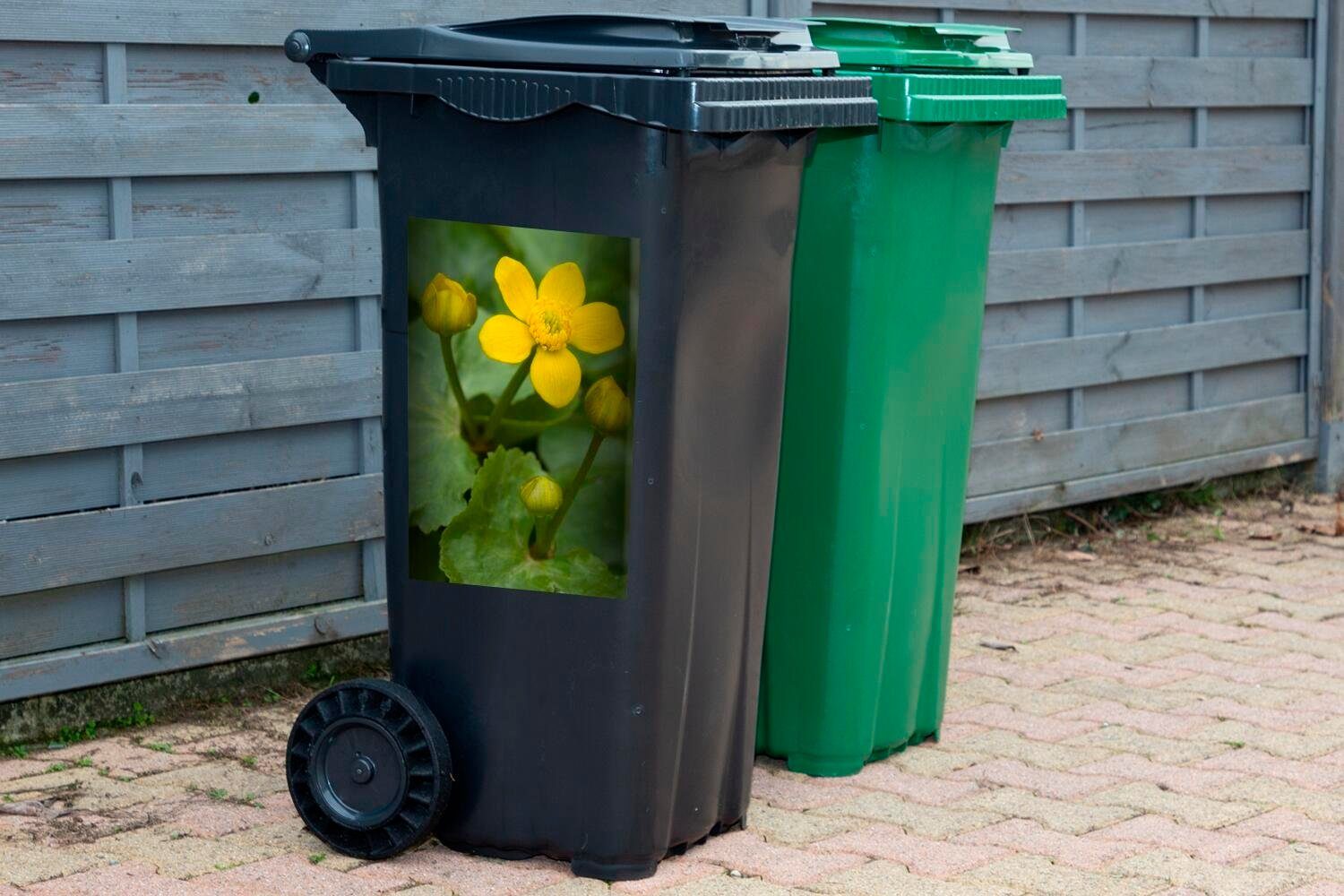 MuchoWow Wandsticker Sticker, - Mülleimer-aufkleber, Hahnenfuß - Grün Mülltonne, (1 St), Container, Abfalbehälter Blätter