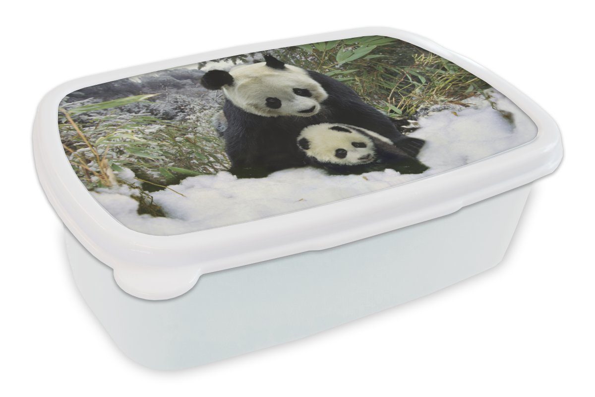 MuchoWow Lunchbox Panda - Jungtier - Schnee, Kunststoff, (2-tlg), Brotbox für Kinder und Erwachsene, Brotdose, für Jungs und Mädchen weiß | Lunchboxen