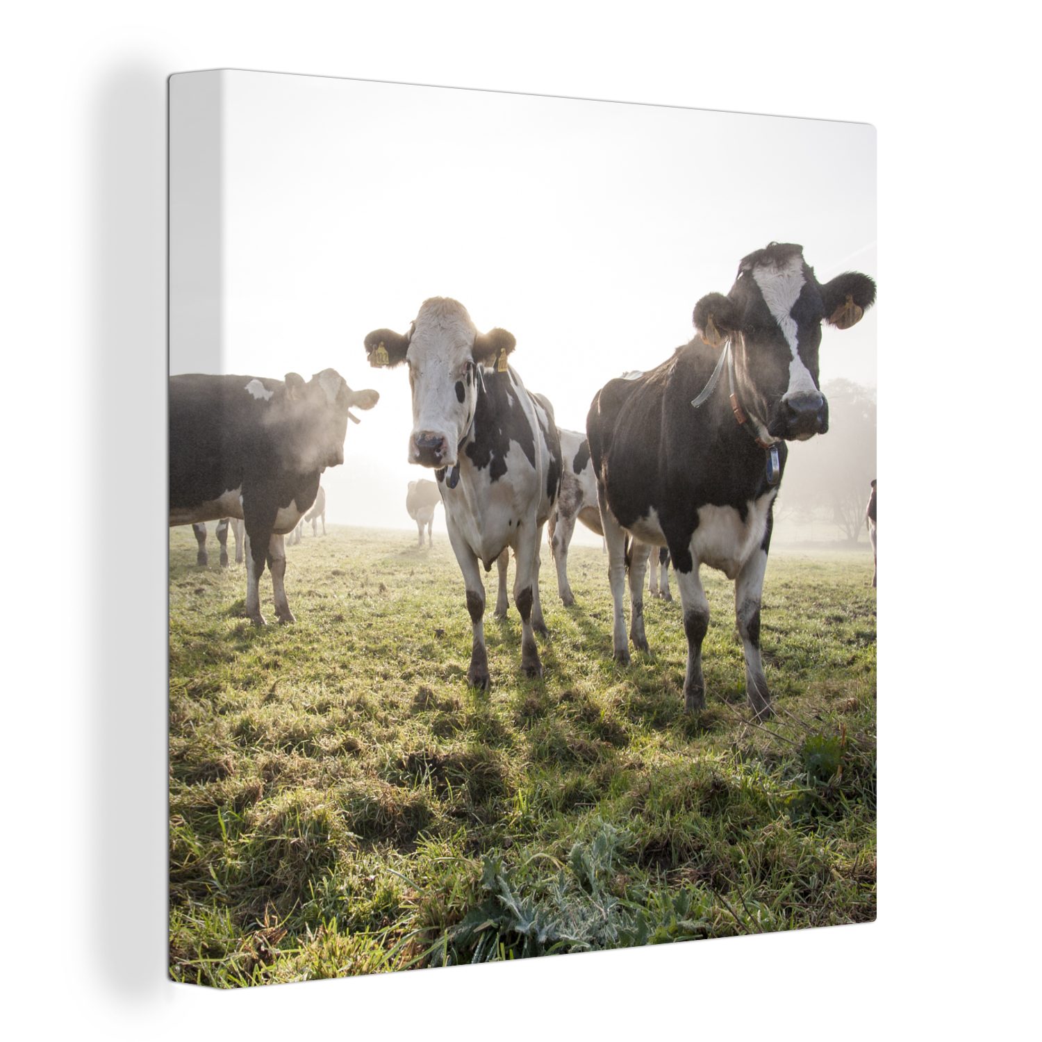 OneMillionCanvasses® Leinwandbild Kuh - Leinwand Wohnzimmer (1 Schlafzimmer bunt - für Gras Bilder Nebel, St)