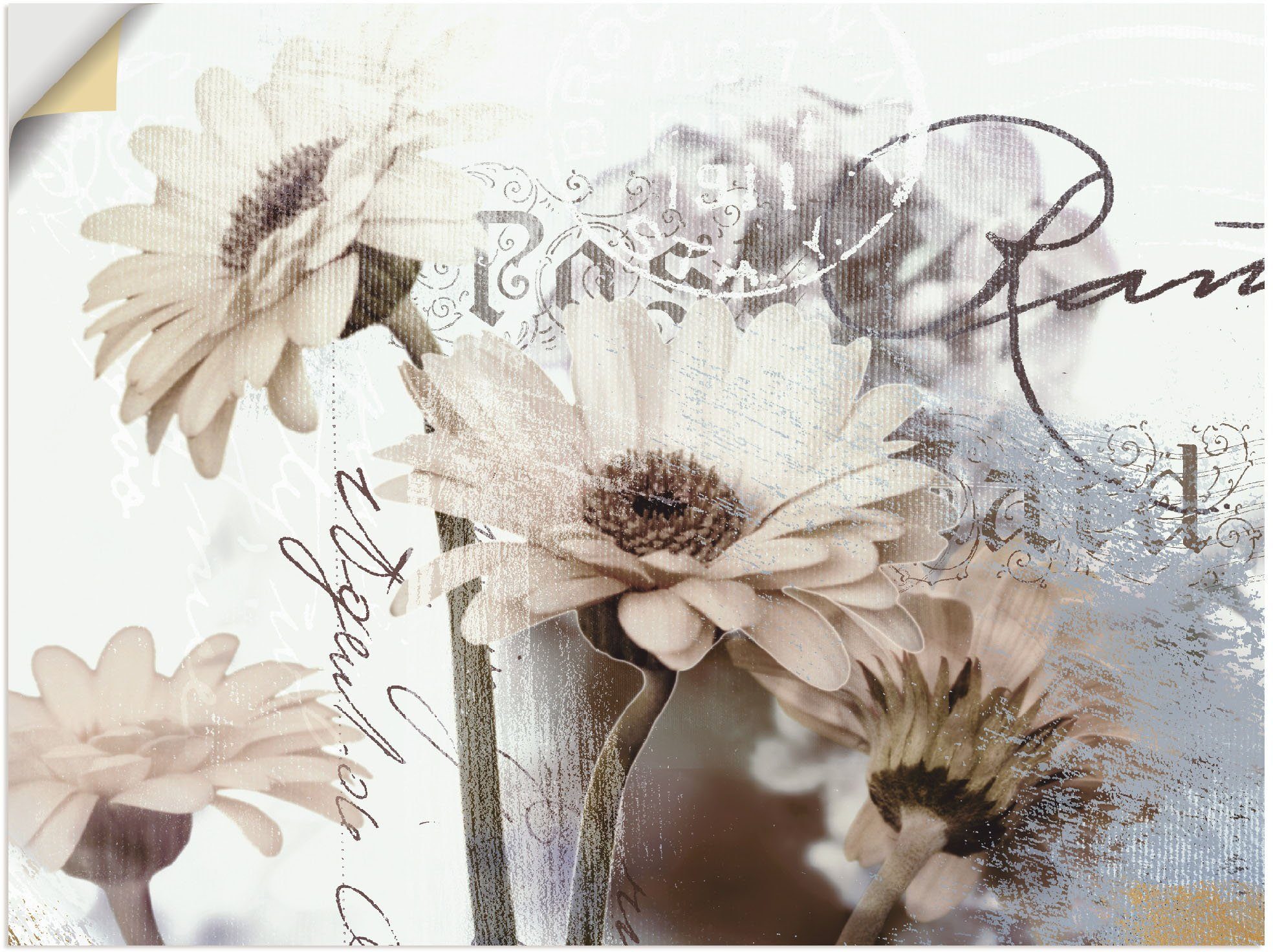 Artland Wandbild Gerberas_Detail, Blumenbilder (1 St), günstig online kaufen
