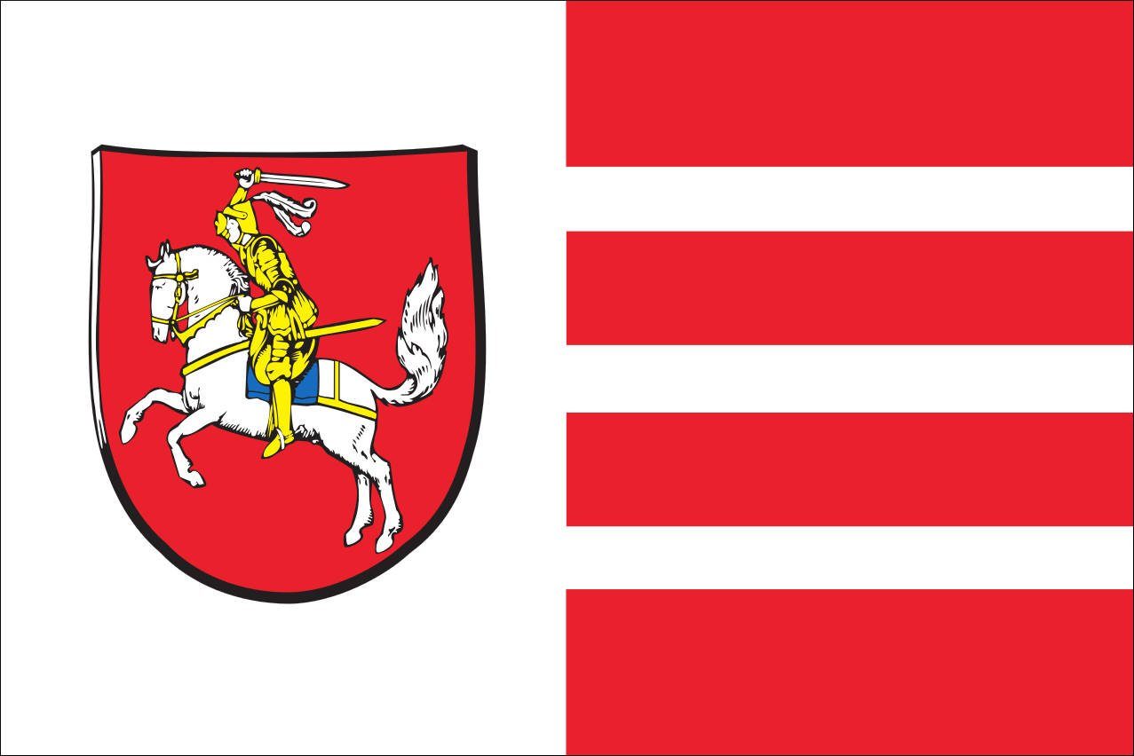 Flagge Flagge Querformat 110 Dithmarschen g/m² flaggenmeer