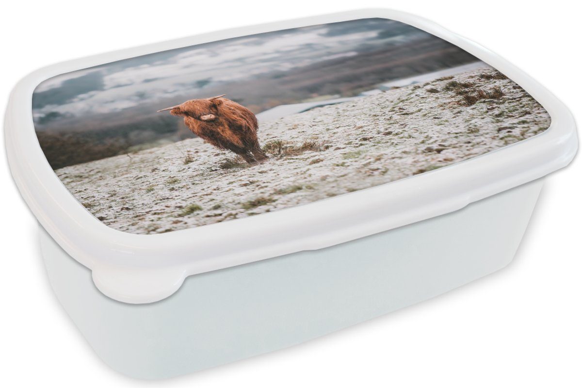 MuchoWow Lunchbox (2-tlg), für Brotdose, und Brotbox - Schottischer Kinder Mädchen und - Himmel, Highlander Schnee weiß Erwachsene, Jungs für Kunststoff