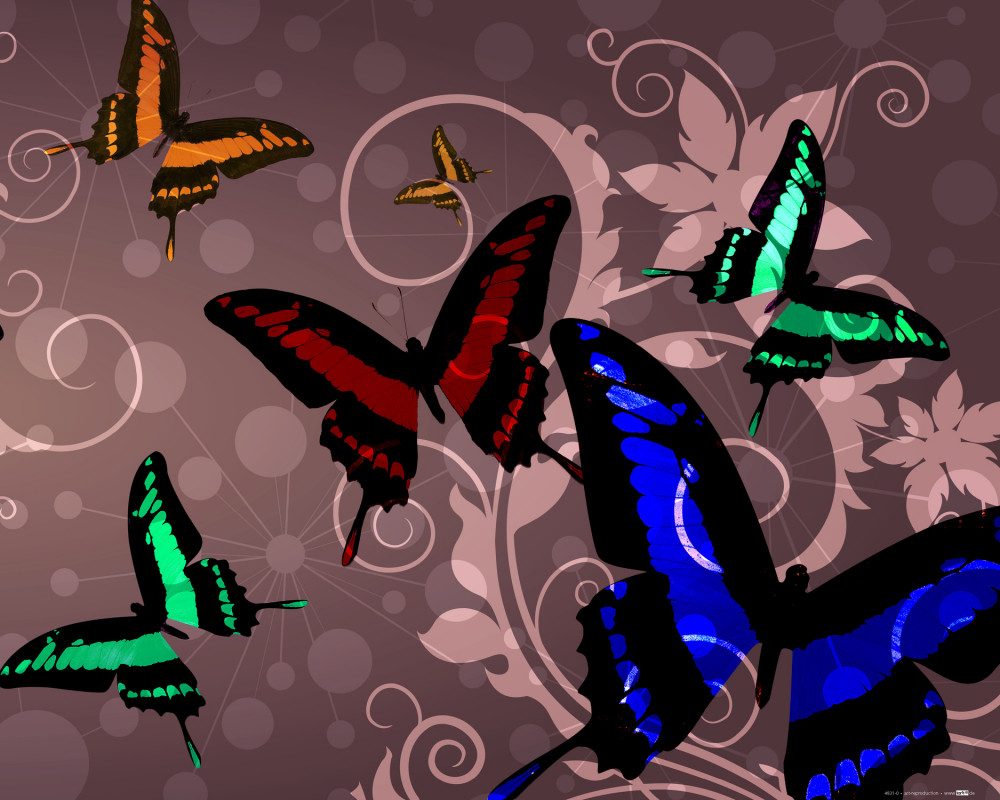 1art1 Poster Schmetterlinge Kunstdruck Bild - Schmetterlinge Und