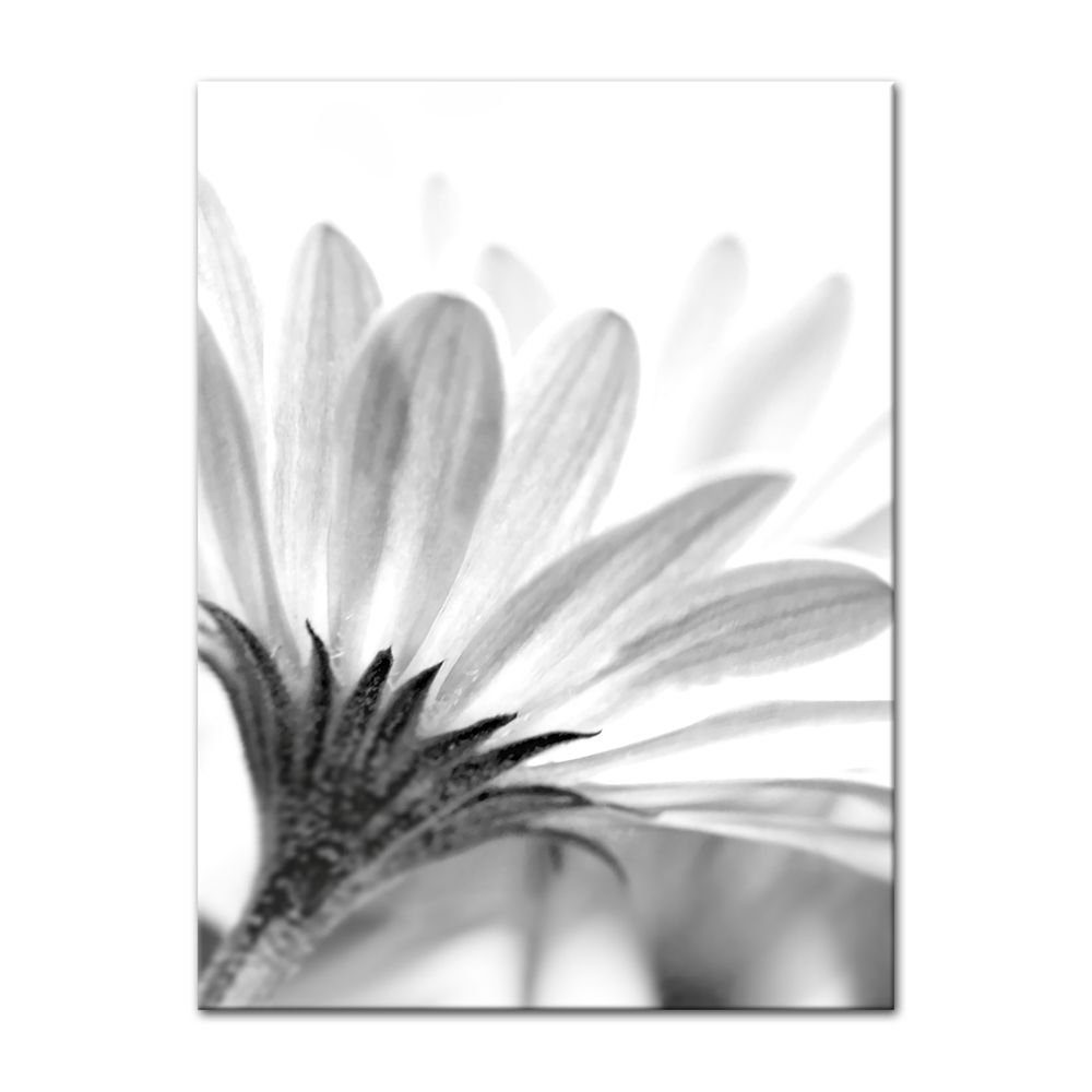 Bilderdepot24 Leinwandbild »Blume - schwarz weiss«, Blumen online kaufen |  OTTO