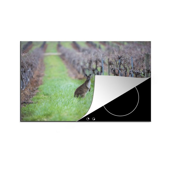 MuchoWow Herdblende-/Abdeckplatte Känguru in einem Weinberg in Australien Vinyl (1 tlg) Ceranfeldabdeckung für die küche Induktionsmatte