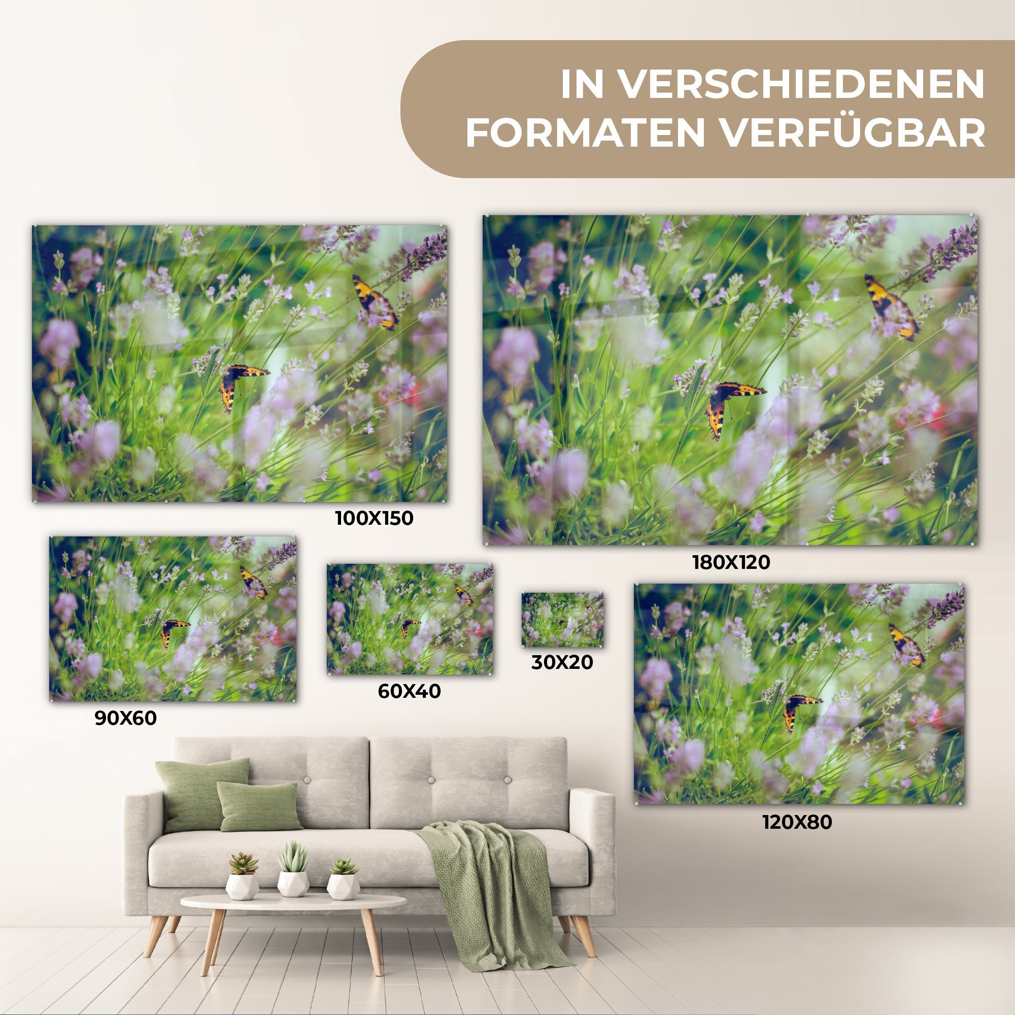 & Acrylglasbilder Blumen, Schmetterlinge (1 MuchoWow - Schlafzimmer - Wohnzimmer Lavendel St), Acrylglasbild