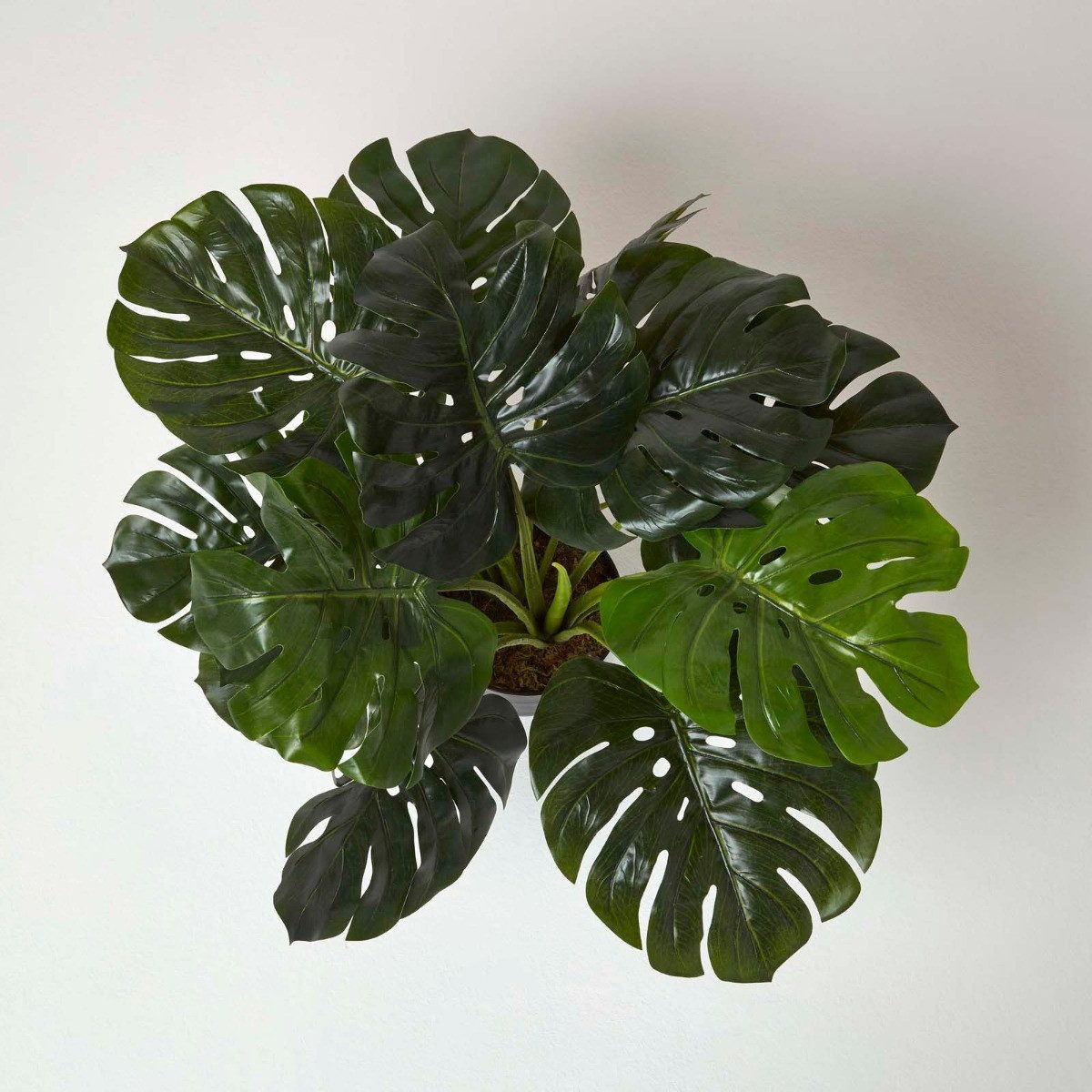 Kunstbaum Monstera Kunstpflanze im Topf - günstig online kaufen