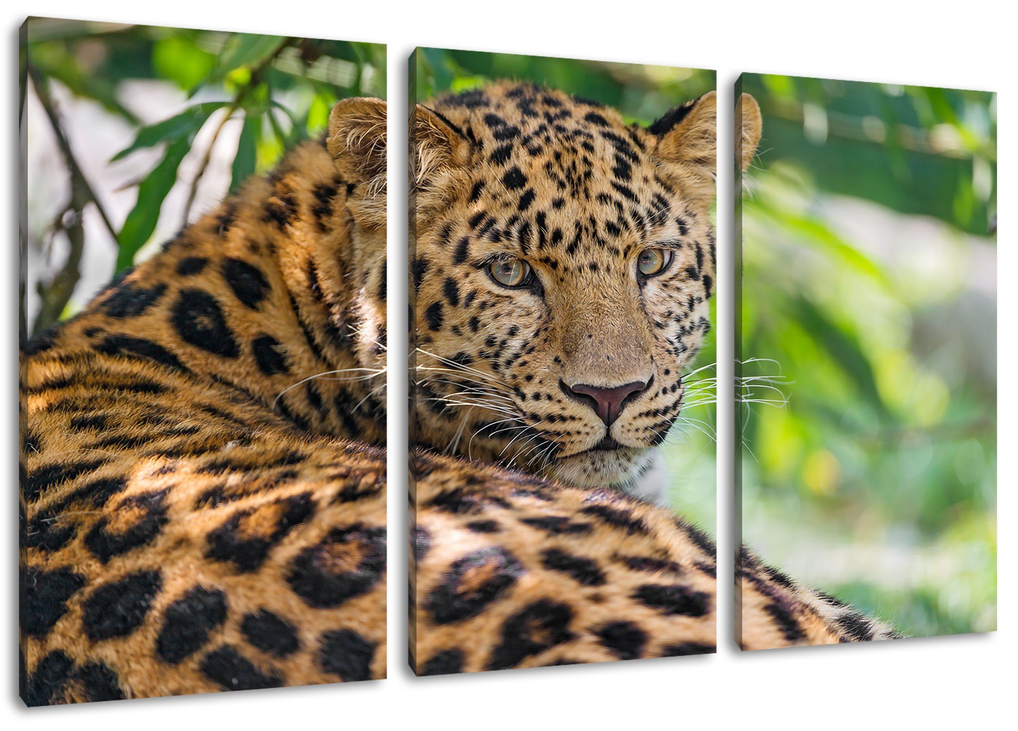 (120x80cm) aufmerksamer Schatten (1 inkl. aufmerksamer 3Teiler Schatten, Pixxprint Leinwandbild im Leopard im bespannt, Zackenaufhänger Leopard fertig St), Leinwandbild