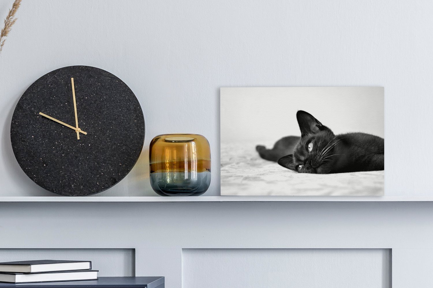 OneMillionCanvasses® Leinwandbild Burmakatze auf einer cm weiß, (1 schwarz Wanddeko, Leinwandbilder, Wandbild und St), 30x20 - liegend Decke Aufhängefertig