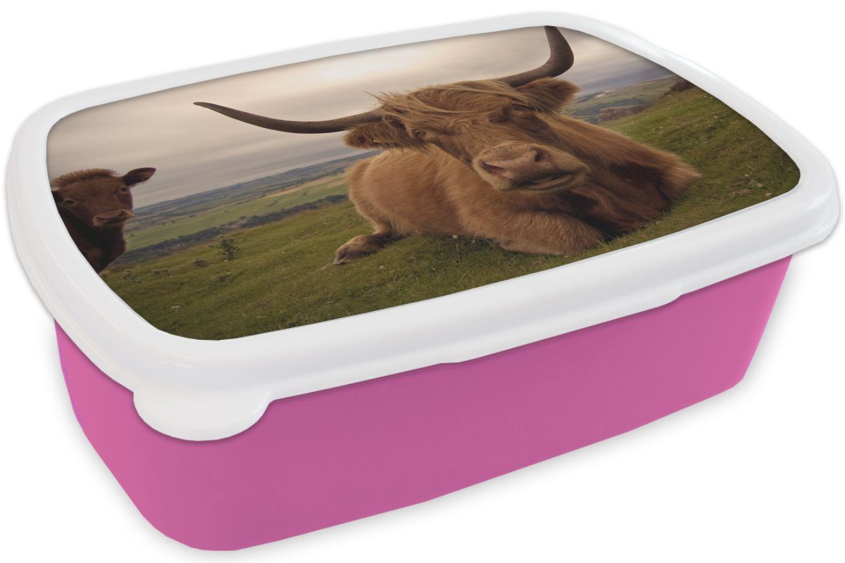 MuchoWow Lunchbox Schottischer Highlander Kunststoff Mädchen, Brotbox Snackbox, Erwachsene, (2-tlg), Kunststoff, rosa für - - Brotdose Kinder, Tiere Berg