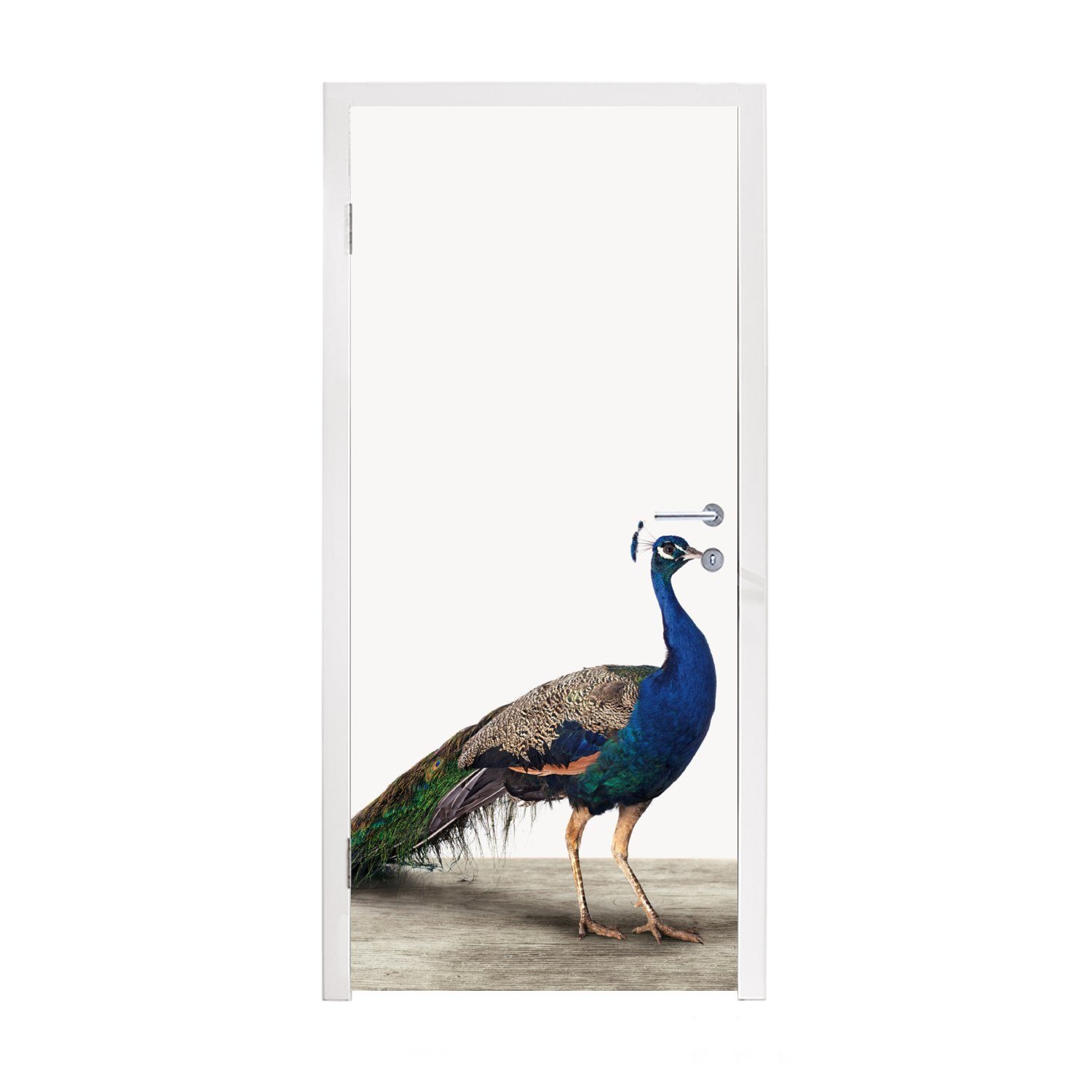 MuchoWow Türtapete Pfau - Federn - Vogel - Kinder - Jungen - Mädchen, Matt, bedruckt, (1 St), Fototapete für Tür, Türaufkleber, 75x205 cm