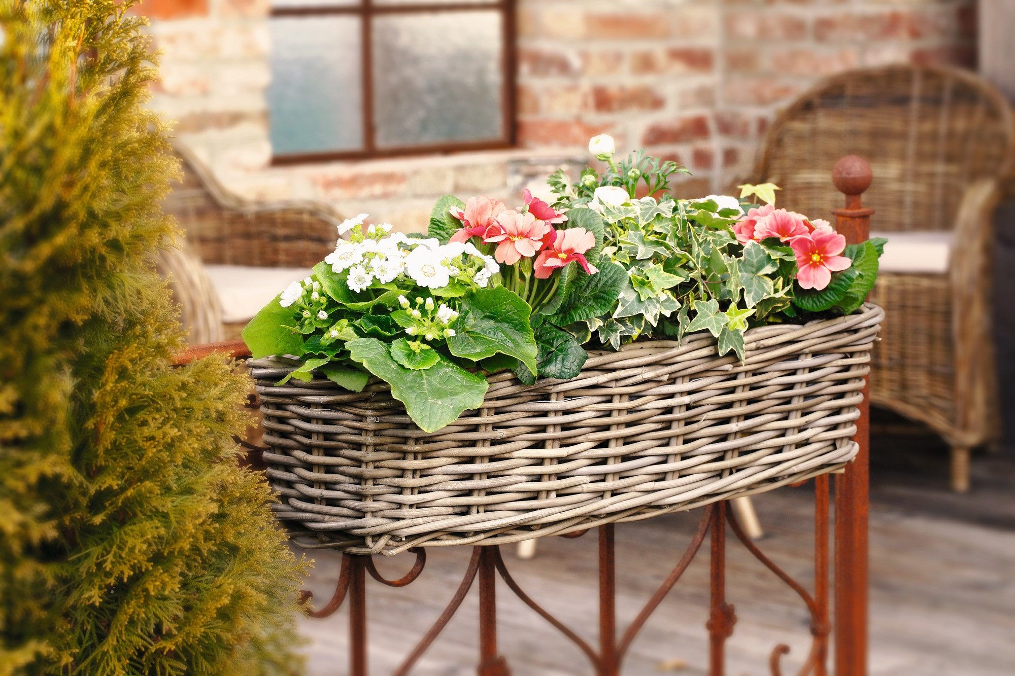 Frank Flechtwaren Balkonkasten, Balkonpflanzer Rattan groß