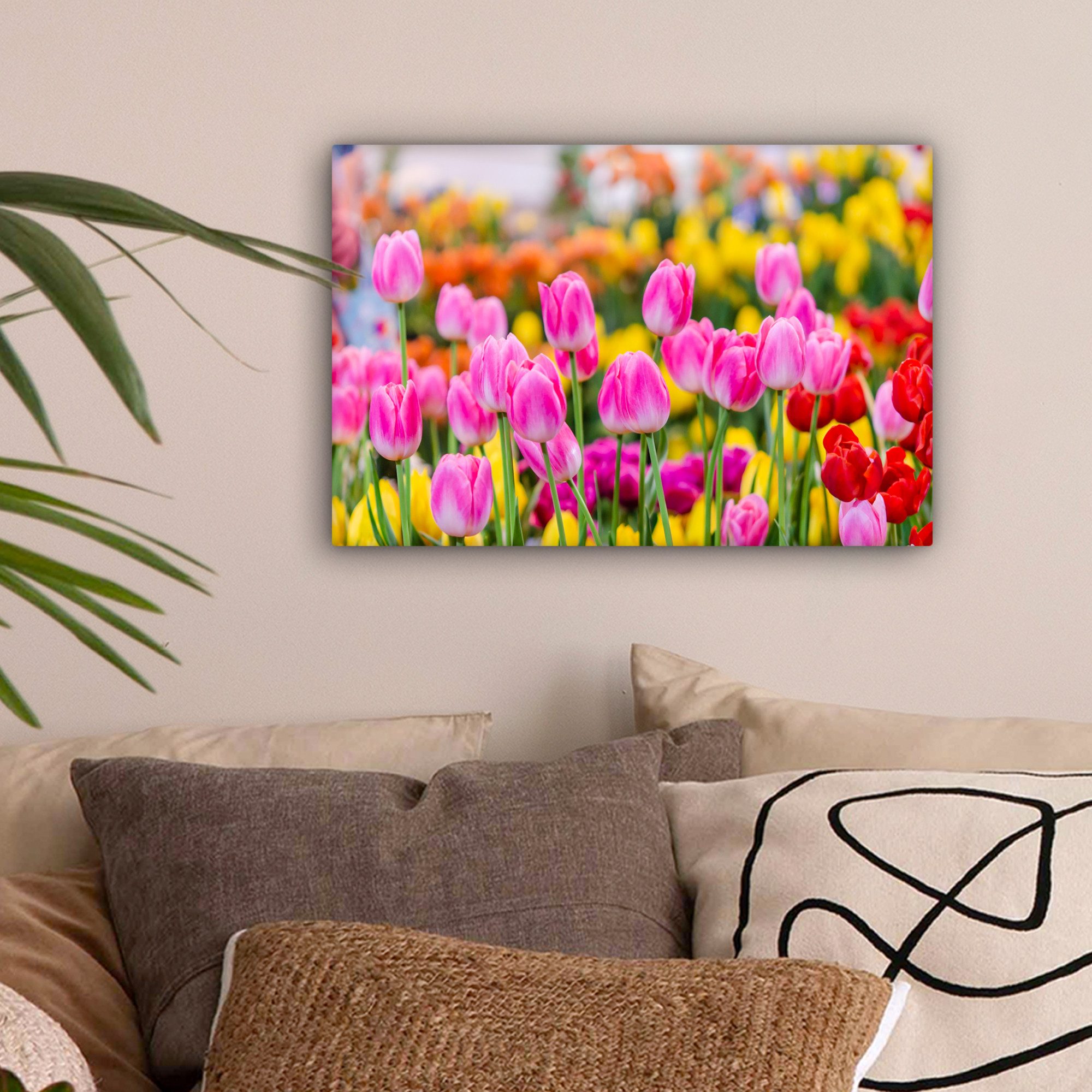 OneMillionCanvasses® Leinwandbild Tulpen - Farben - Frühling, Fotodruck (1 günstig online kaufen