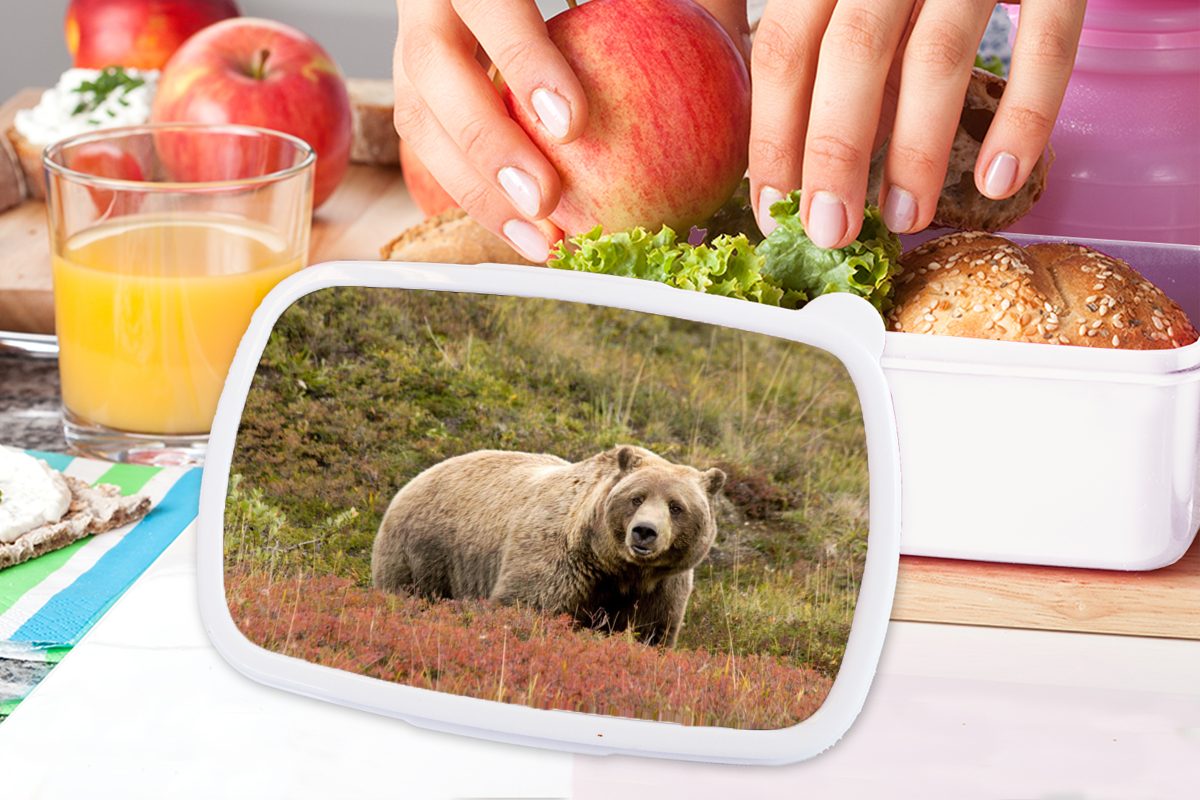 MuchoWow Lunchbox Bär - - Grizzly, Brotbox weiß für Erwachsene, und Kinder (2-tlg), Heidekraut für Kunststoff, Brotdose, Mädchen Jungs und