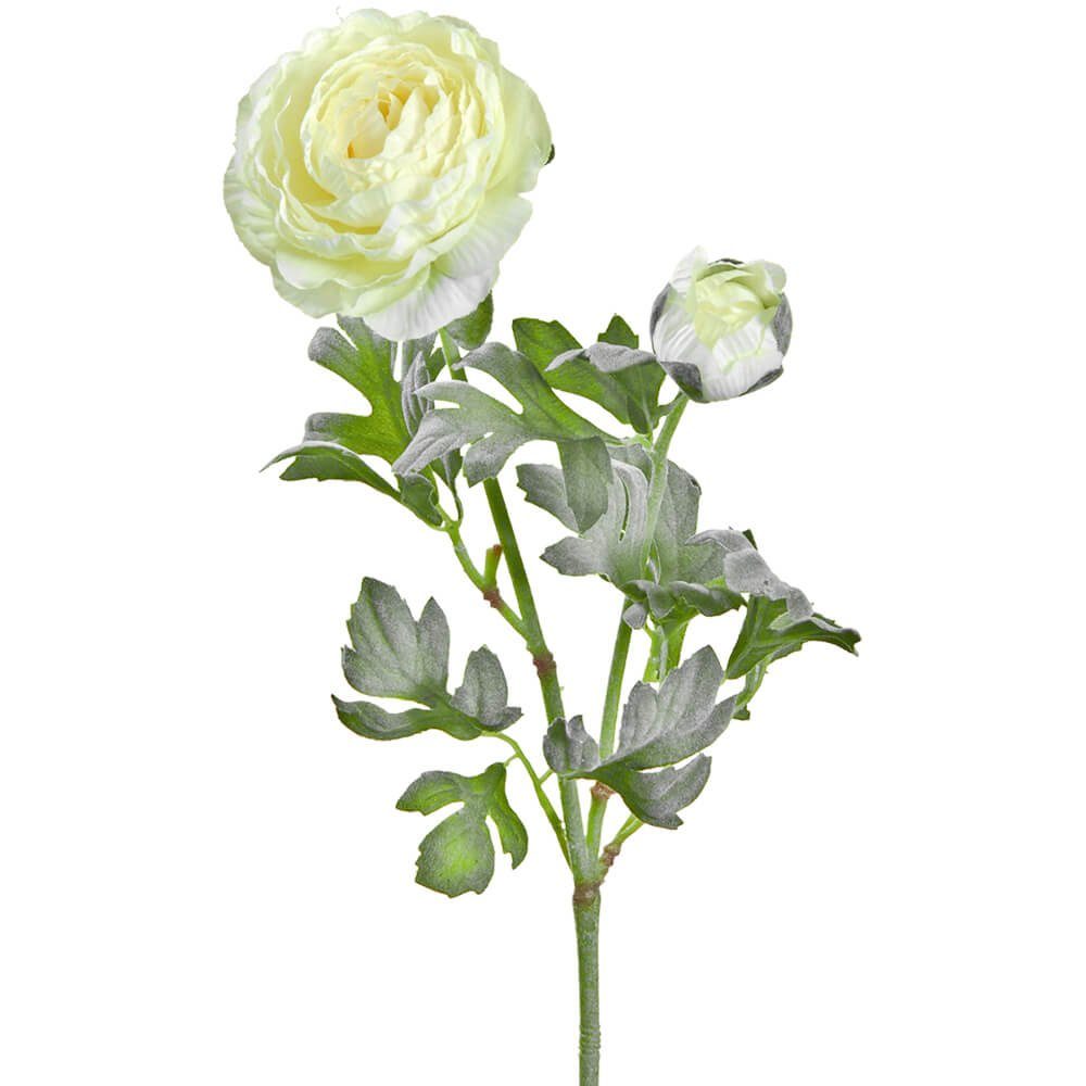 Kunstblume Ranunkeln Blüten matches21 cm Ranunkeln, ca Höhe Stk & 1 Indoor & HOME 40 cremefarben Knospen cm, cremeweiß 40 HOBBY