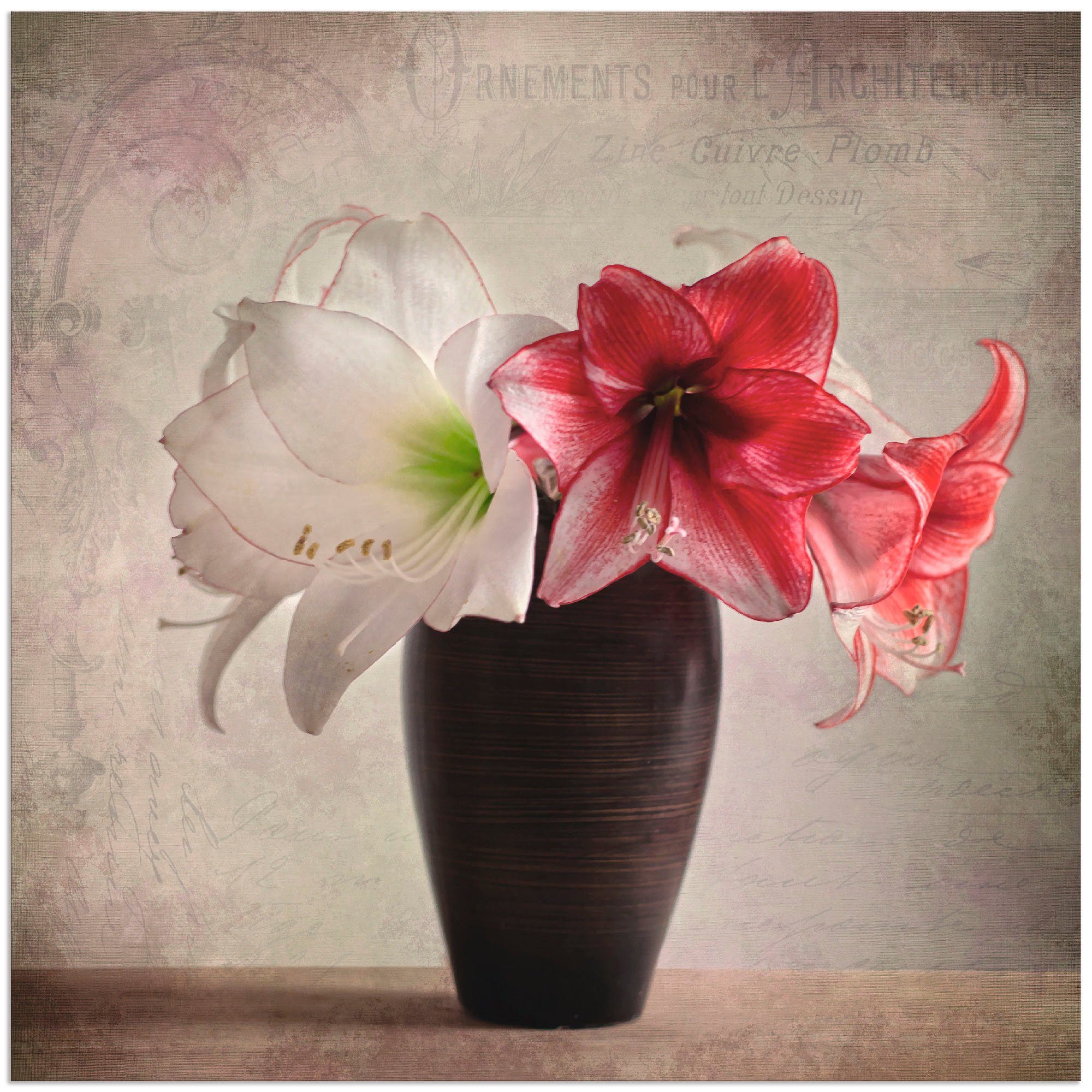 Artland Alu-Dibond-Druck Amaryllis Vintage I, Blumen (1 St), für Innen- und Außenbereich geeignet, Outdoorbild