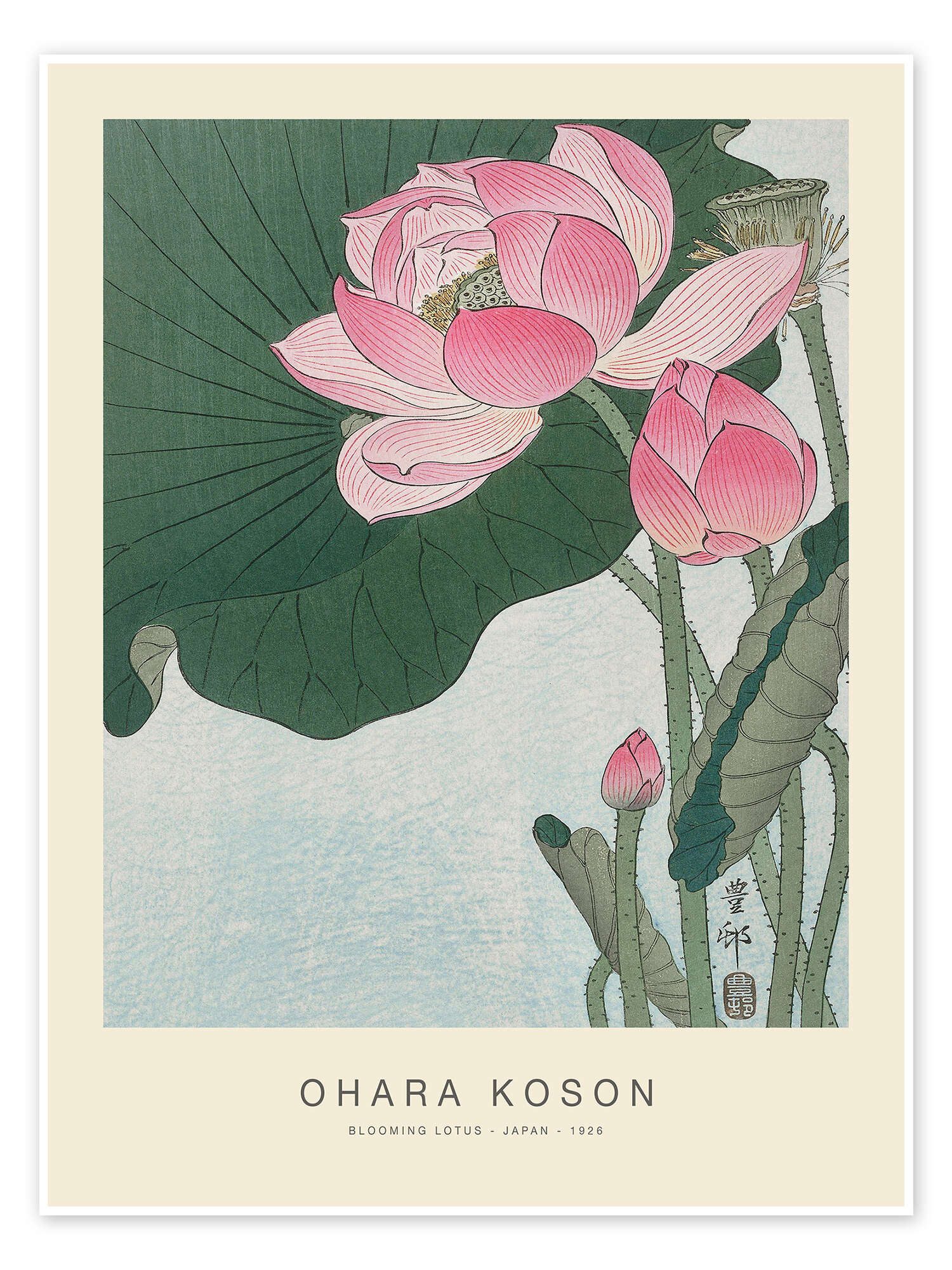 Posterlounge Wandbild Blooming Lotus, 1926, Ohara Koson, erhältlich als Poster, Leinwandbild, Wandsticker oder Acrylglasbild