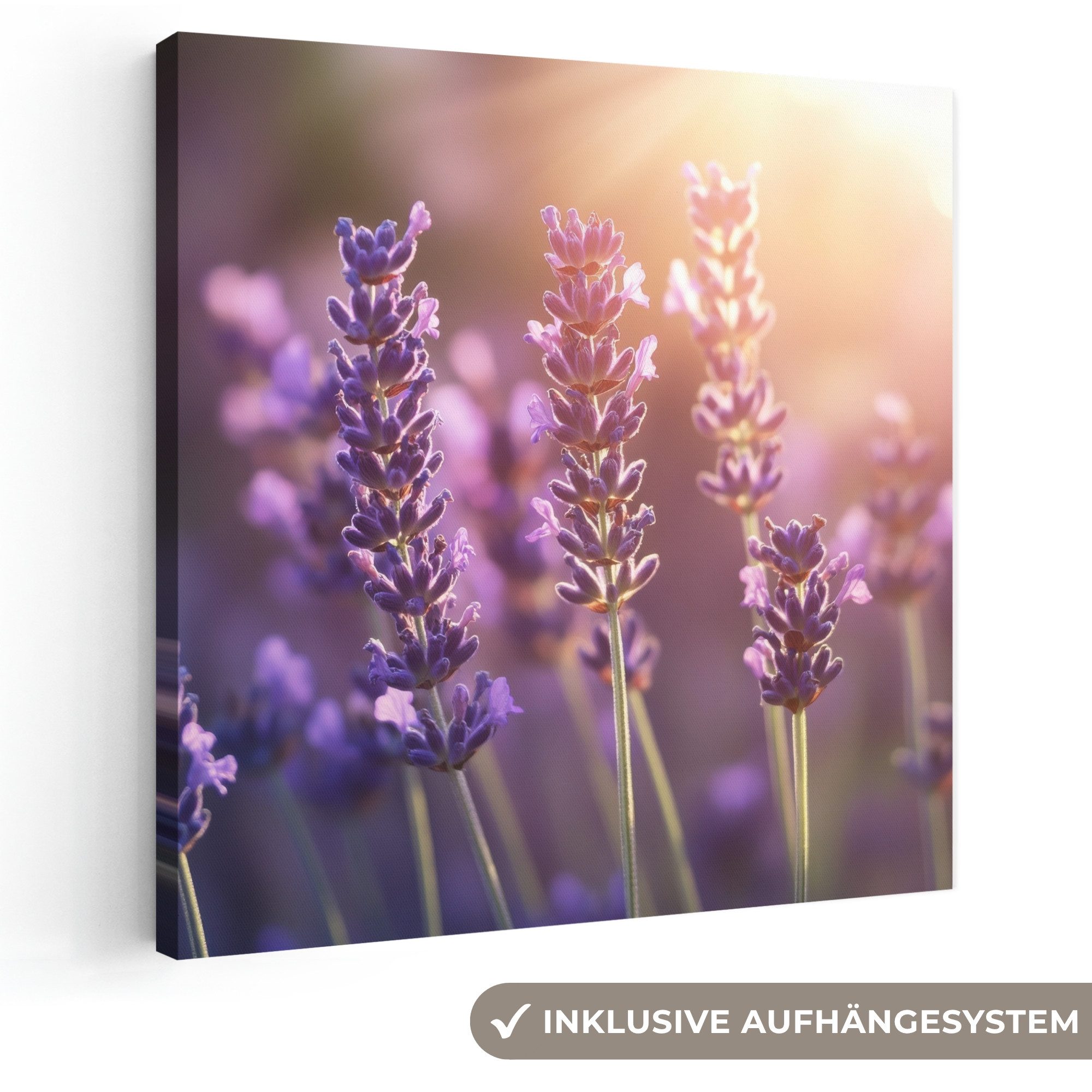 OneMillionCanvasses® Leinwandbild Lavendelblüten - Lila - Sonnenlicht, Fotodruck (1 St), Wandbild, Deko Schlafzimmer Wohnzimmer Flur 20x20 cm