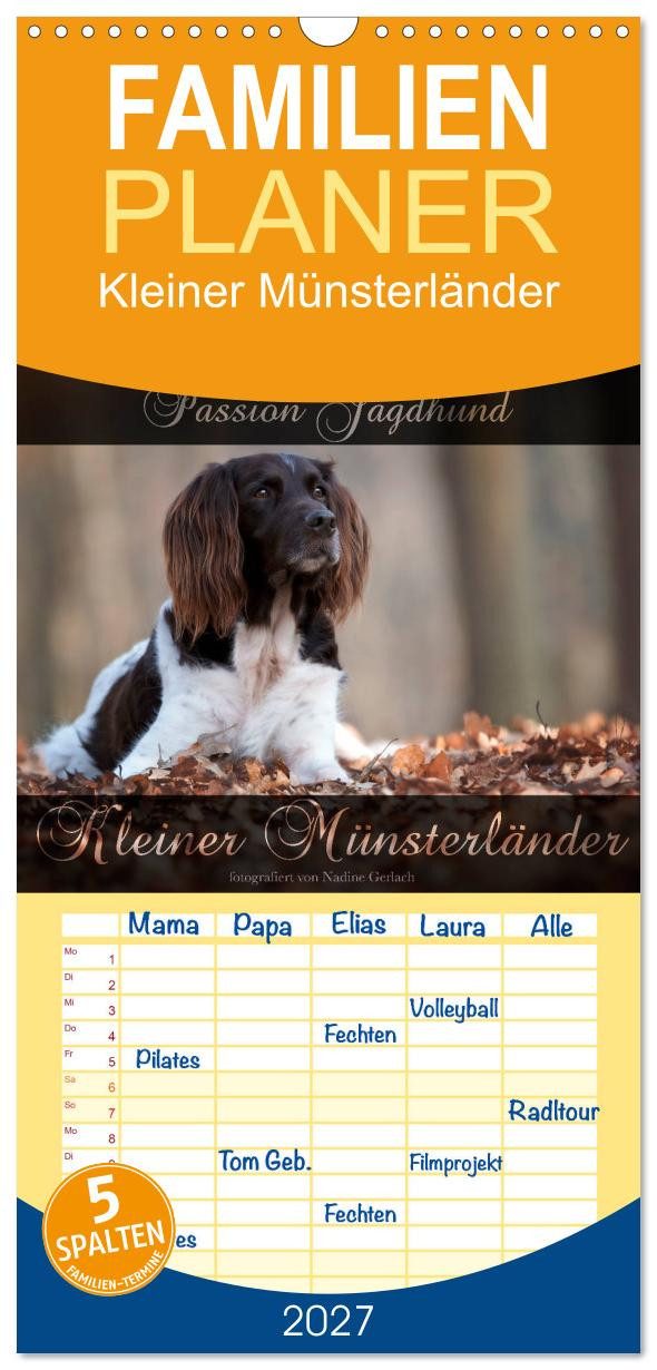 CALVENDO Familienkalender Familienplaner 2027 - Passion Jagdhund - Kleiner Münsterländer mit 5 S