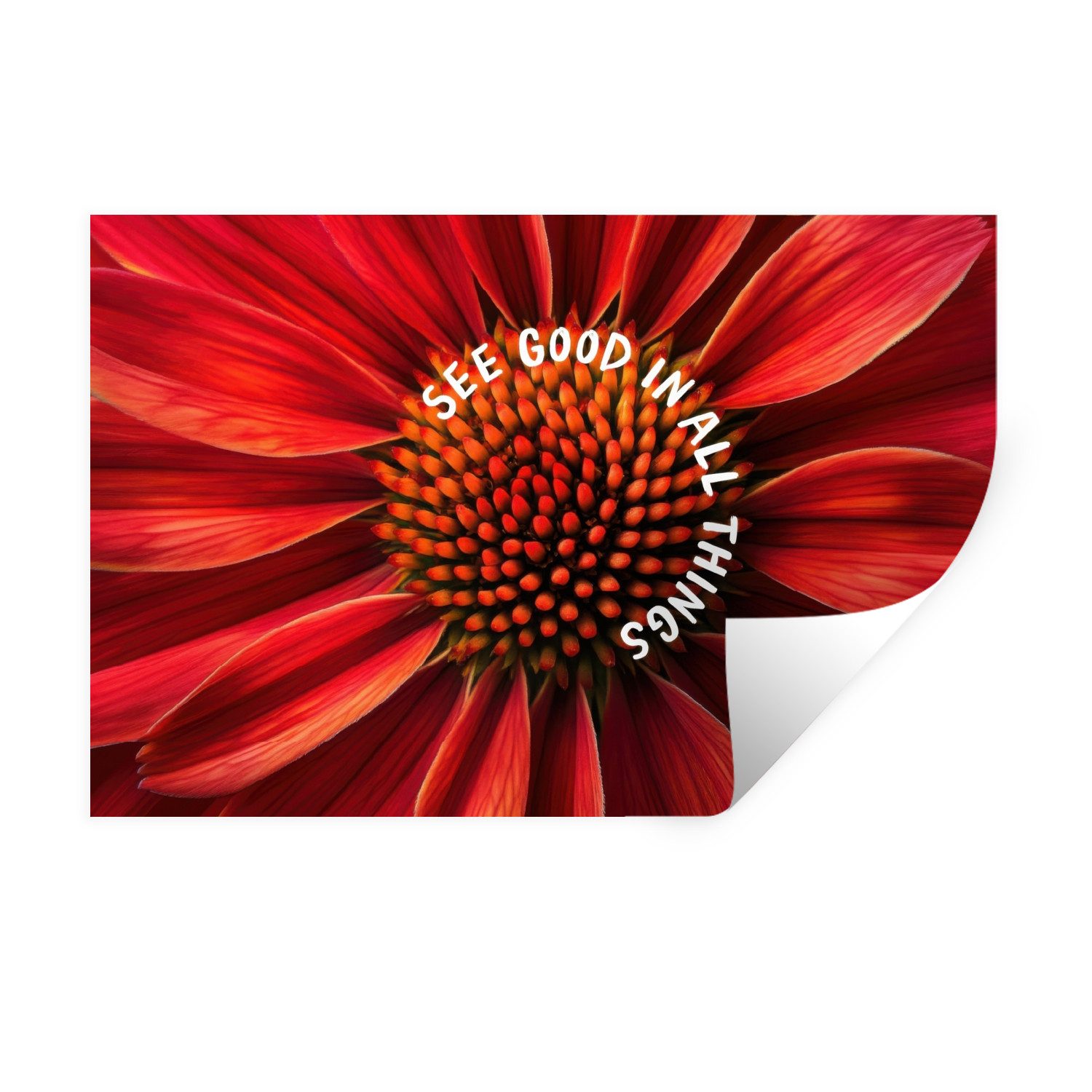 MuchoWow Wandsticker Nahaufnahme - Blume - günstig online kaufen