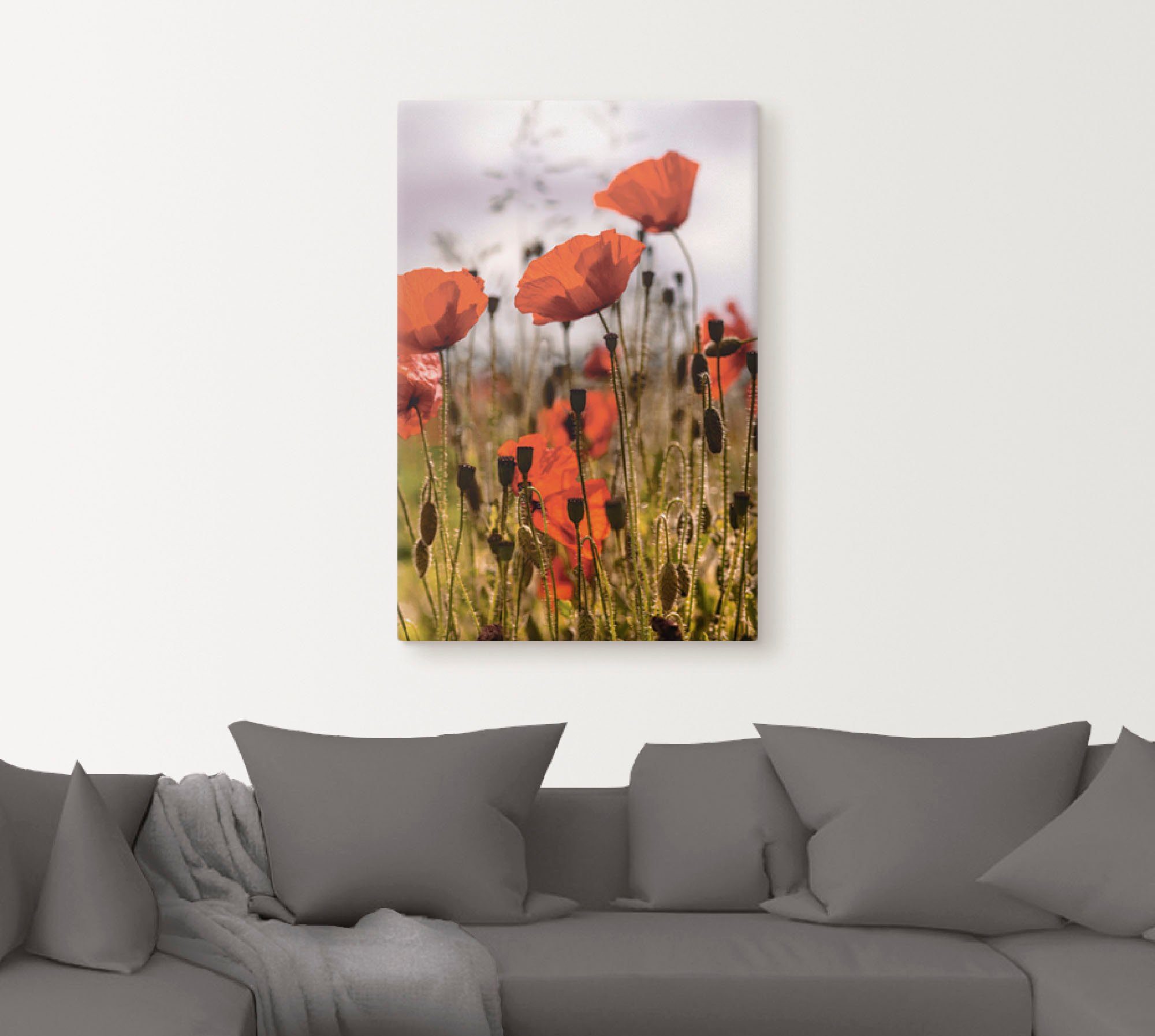 Artland Leinwandbild Mohnblumen im Morgenlicht, Blumenwiese (1 St), auf Holzrahmen gespannt